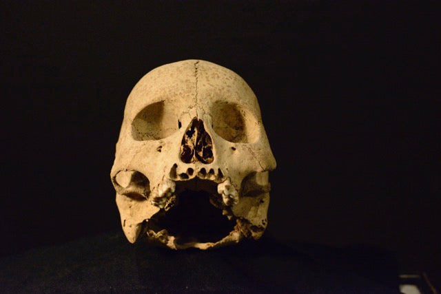 Uncut Skull H4