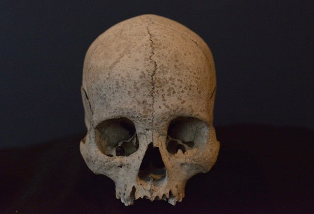 Uncut Skull H4