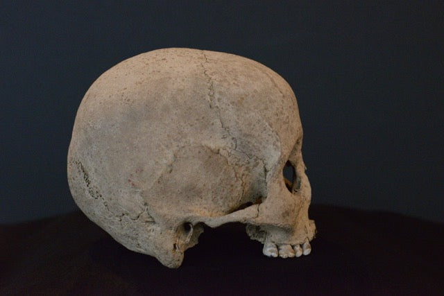 Uncut Skull H4