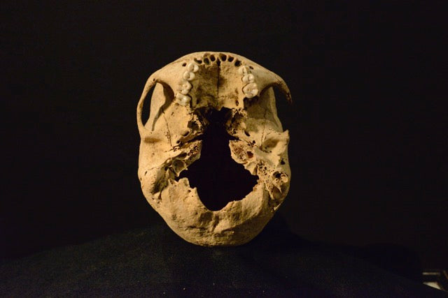Uncut Skull H4