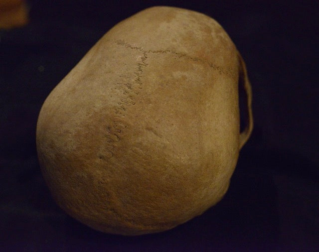 Uncut Skull H9
