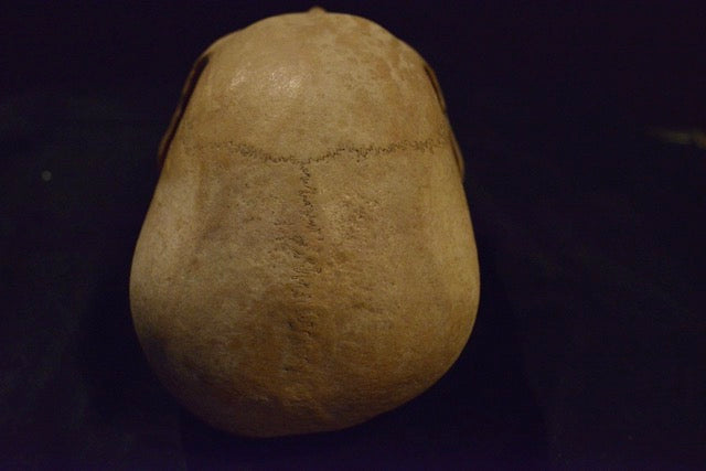 Uncut Skull H9