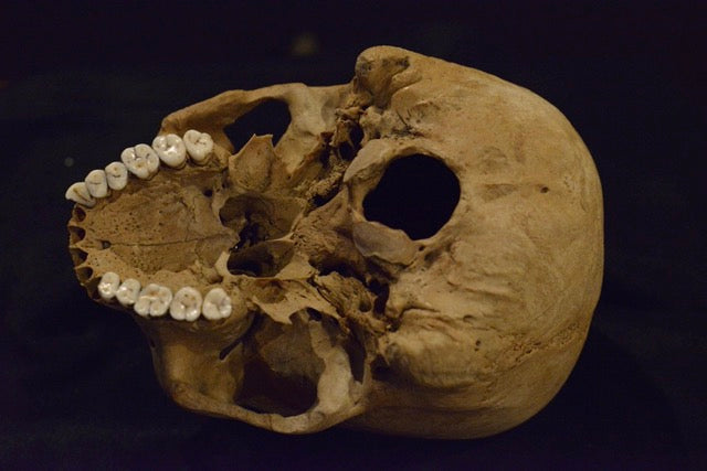 Uncut Skull H9