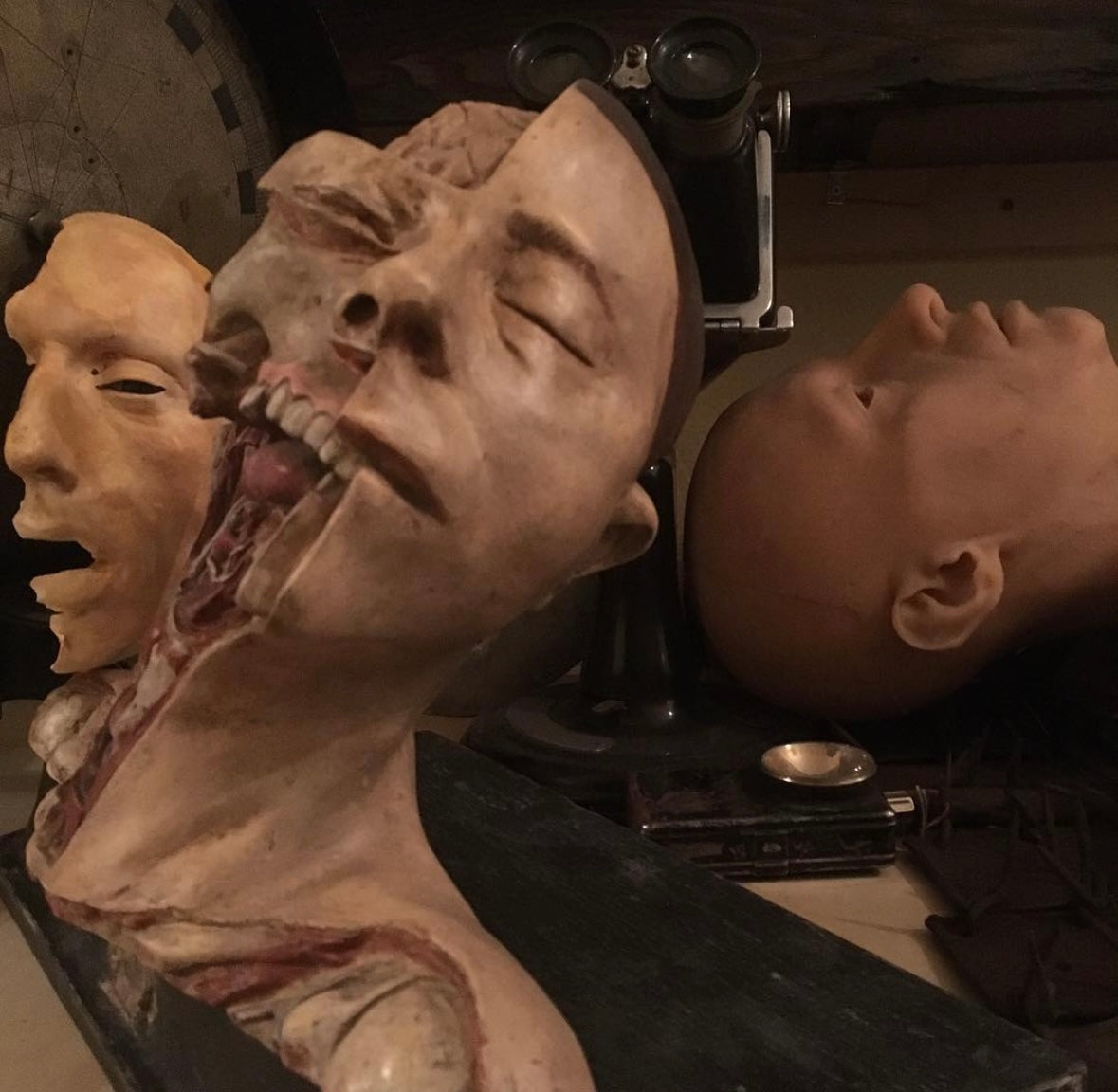 Vintage Anatomical Medical Teaching Model