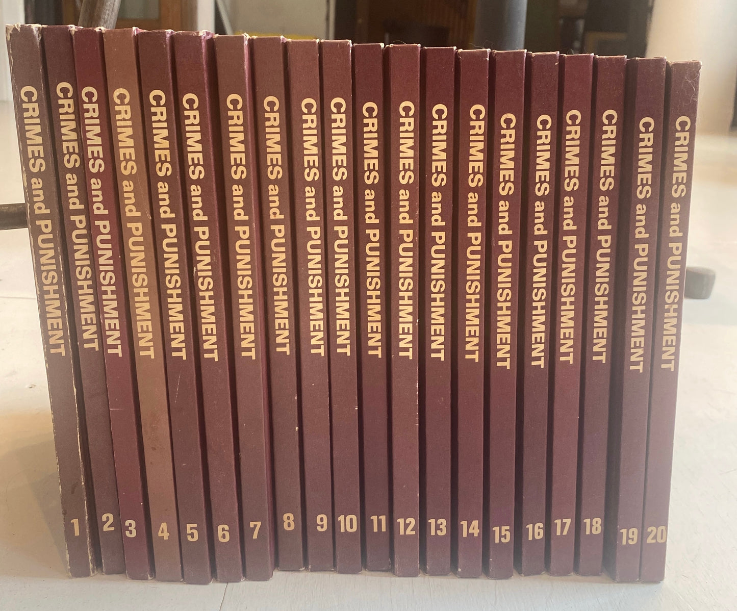 Crime and Punishment Encyclopedia Set