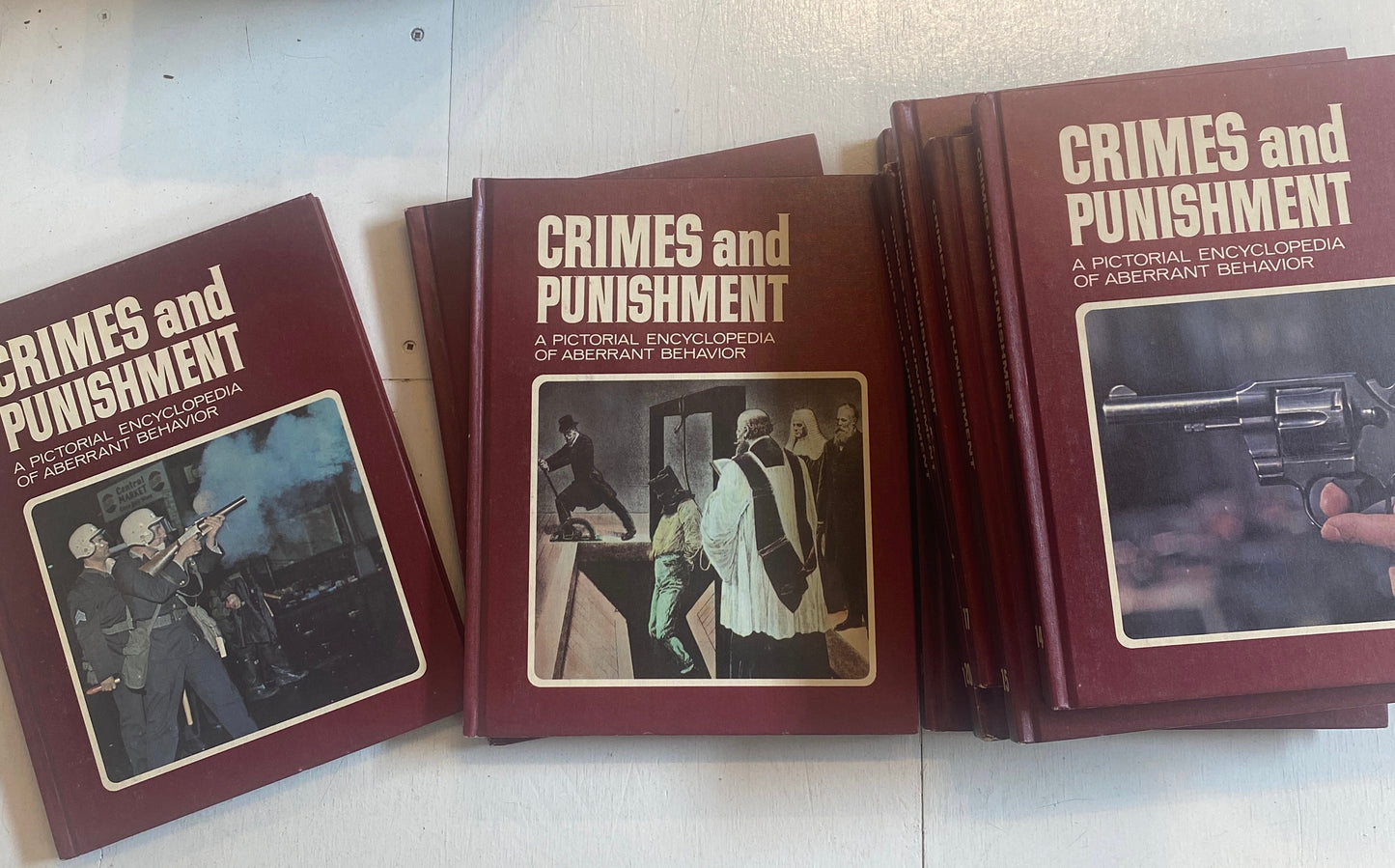 Crime and Punishment Encyclopedia Set