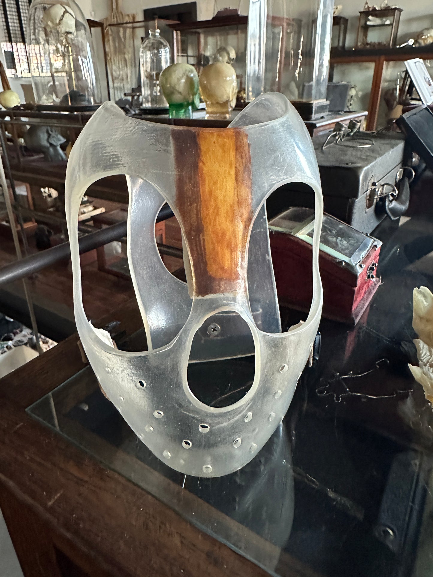 Asylum Patient Restraint Pica Mask