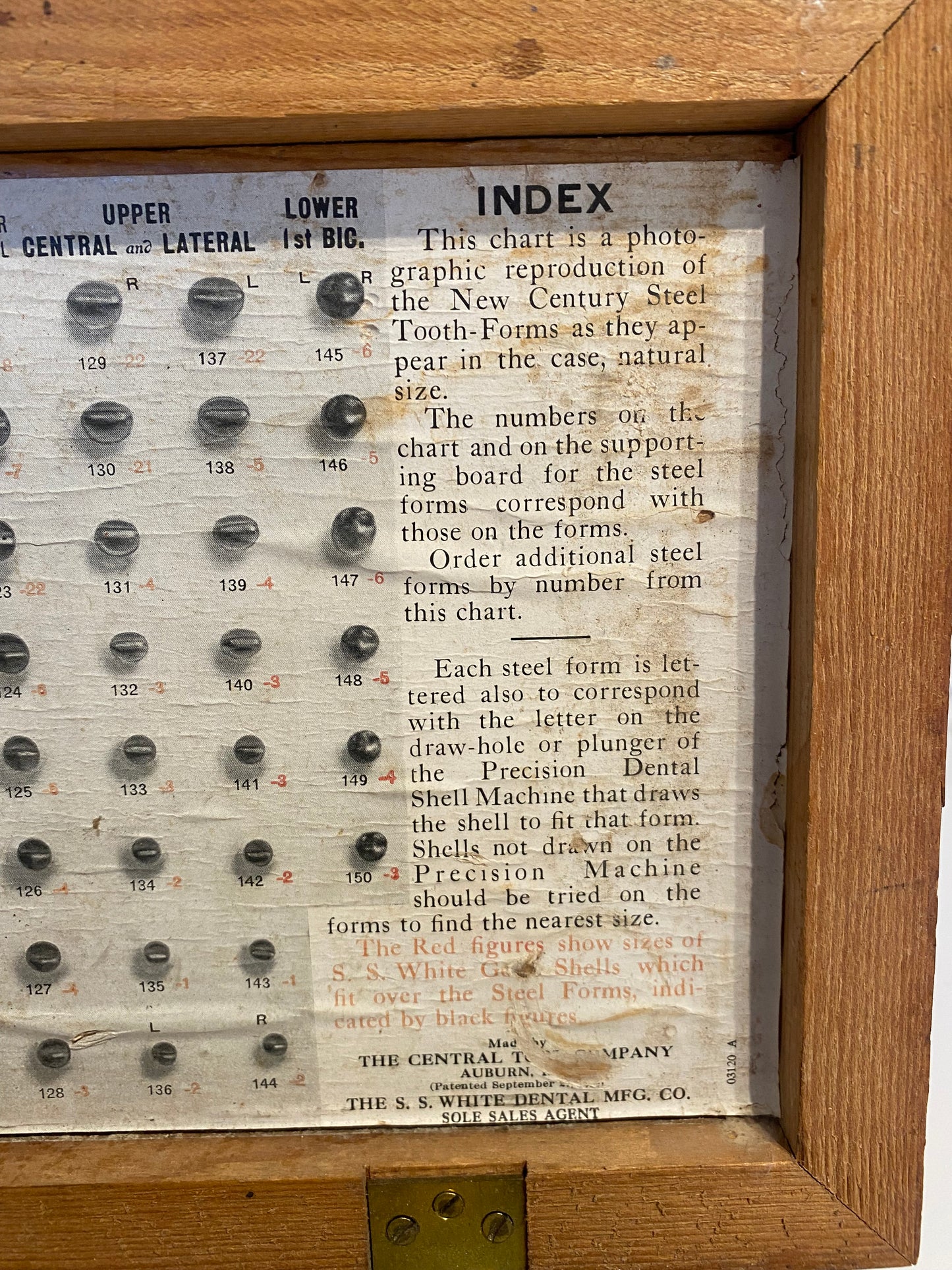 Antique Dental Tooth Forms Kit