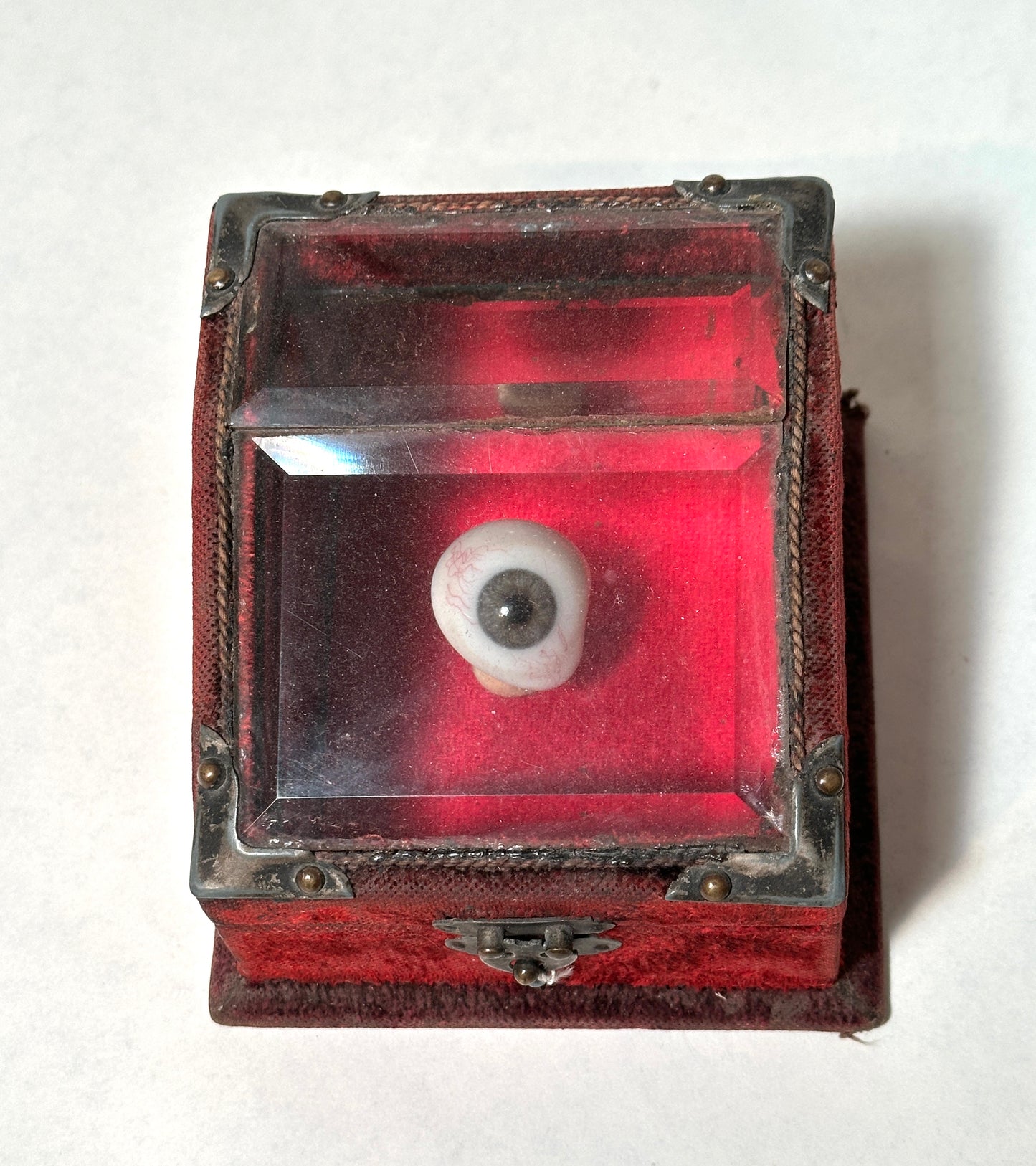 Prosthetic Eye Displayed in Ormolu Jewelry Casket