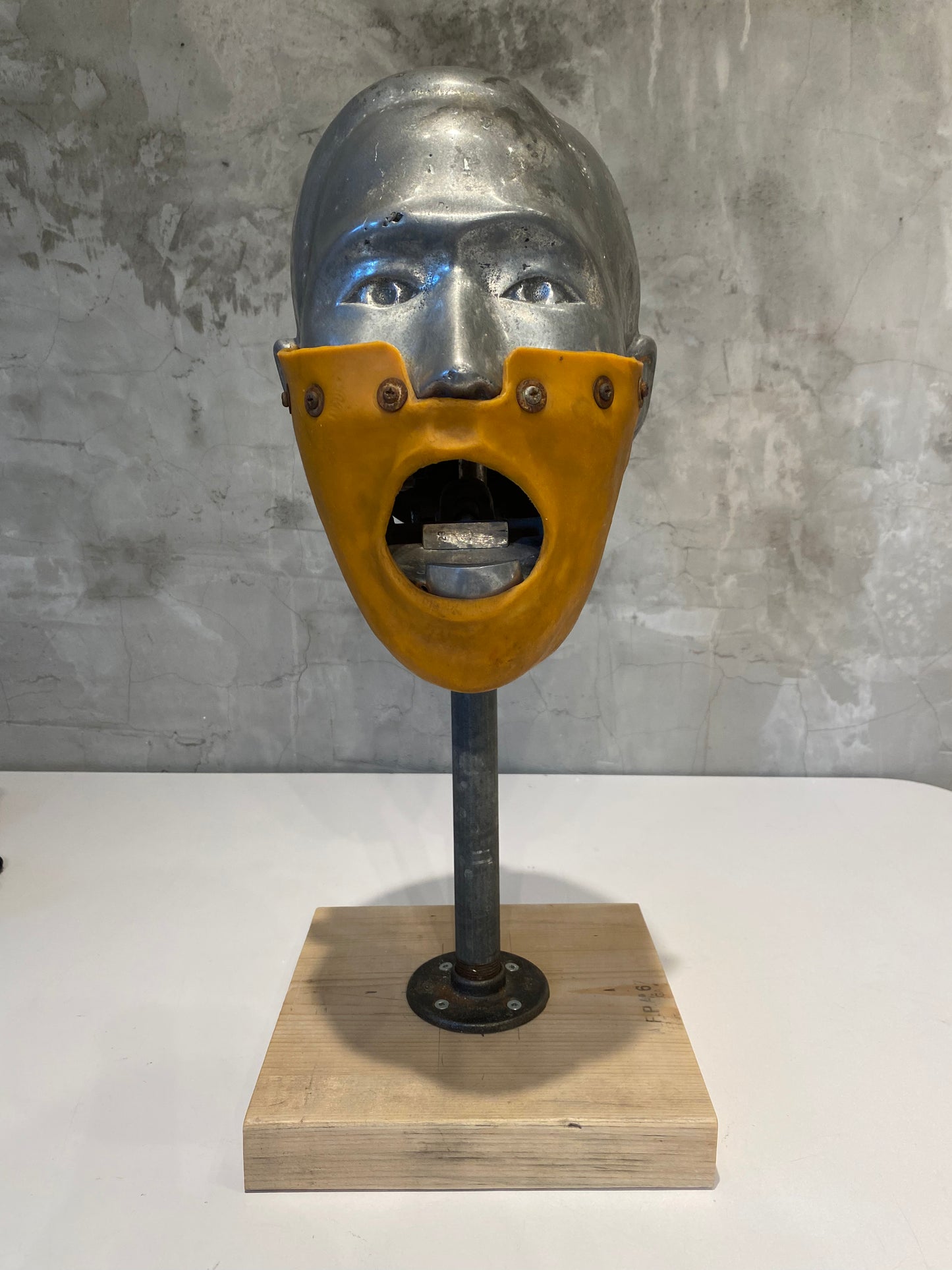 Rare Vintage Dental Phantom Head