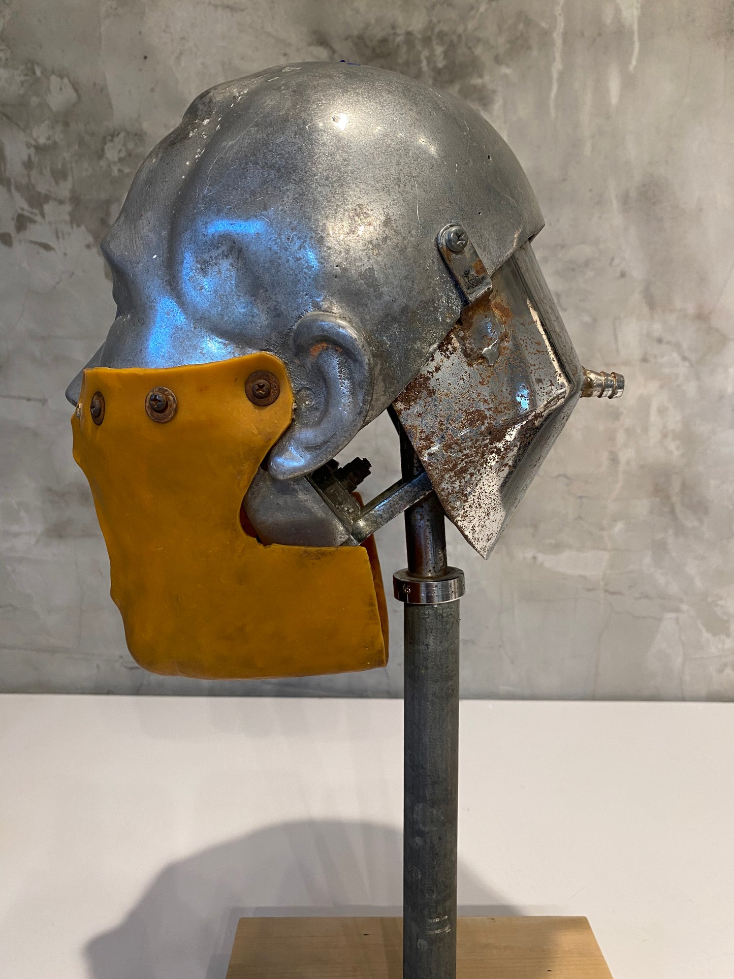 Rare Vintage Dental Phantom Head