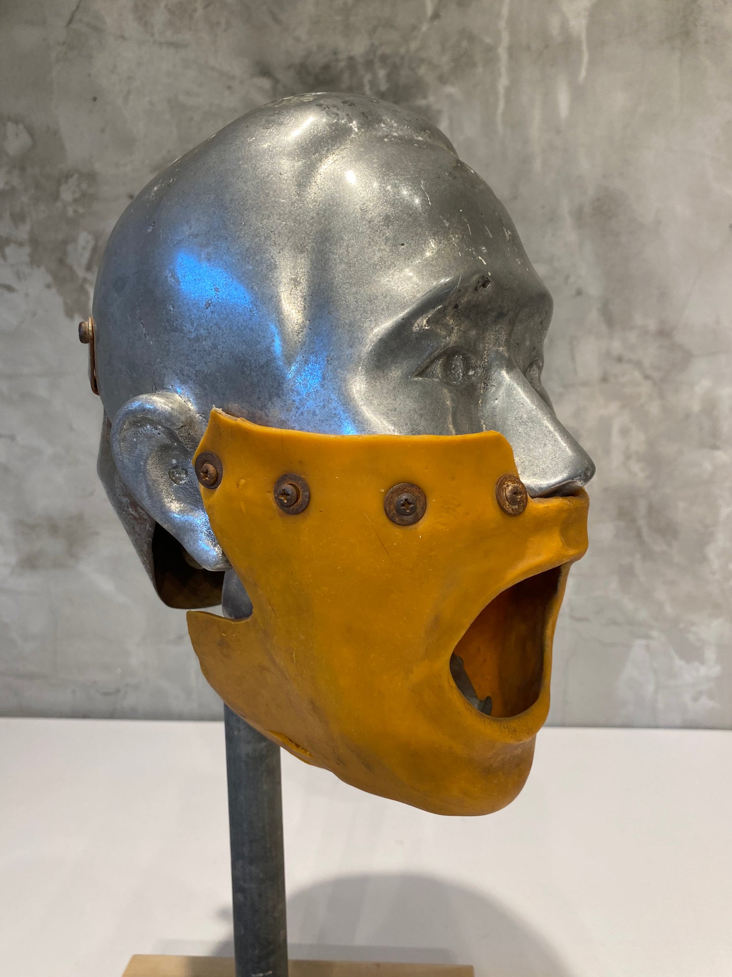 Rare Vintage Dental Phantom Head