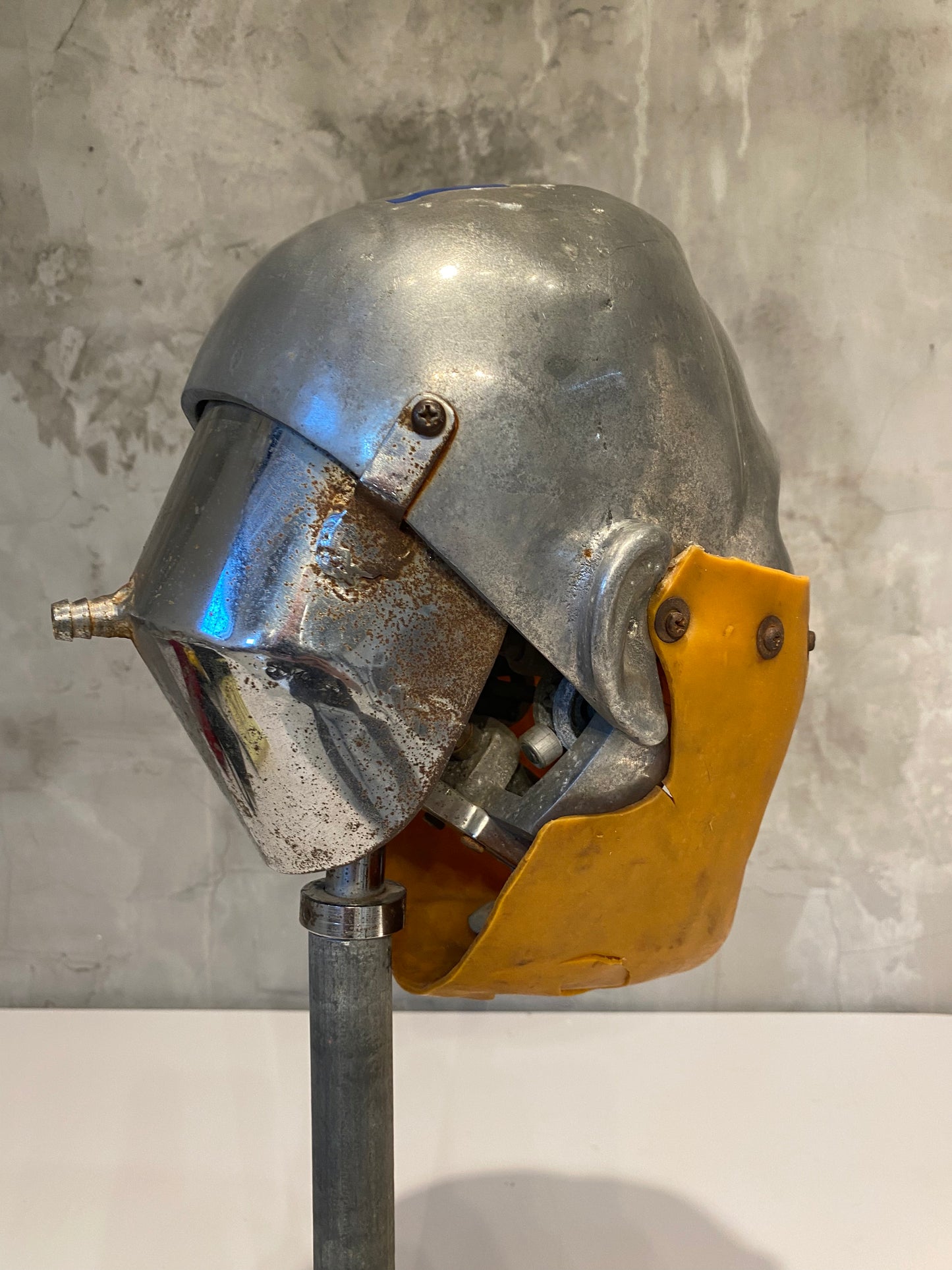 Rare Vintage Dental Phantom Head
