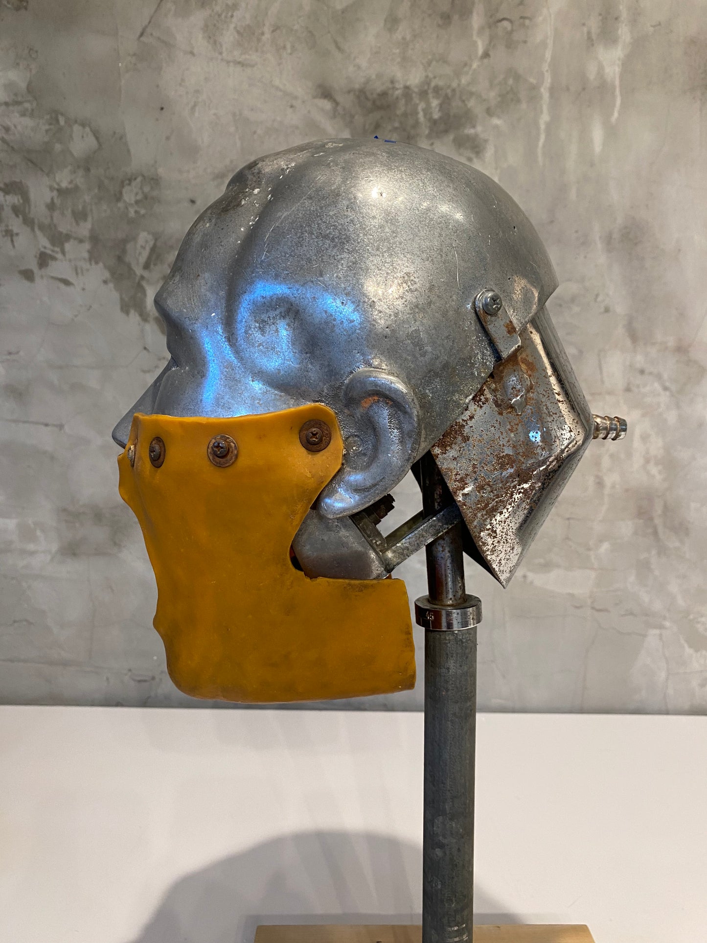 Rare Vintage Dental Phantom Head