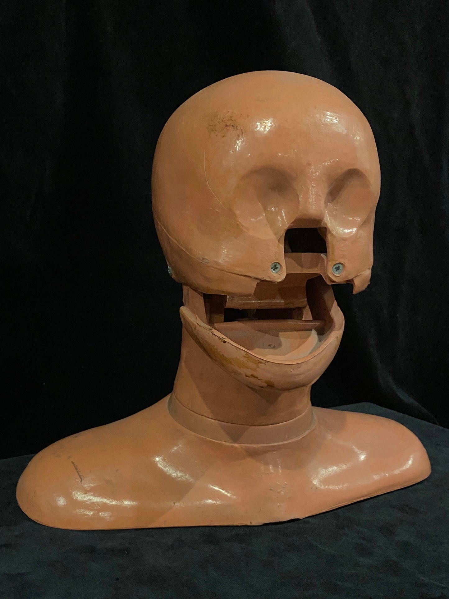 Resusci Anne Phantom Head Norway