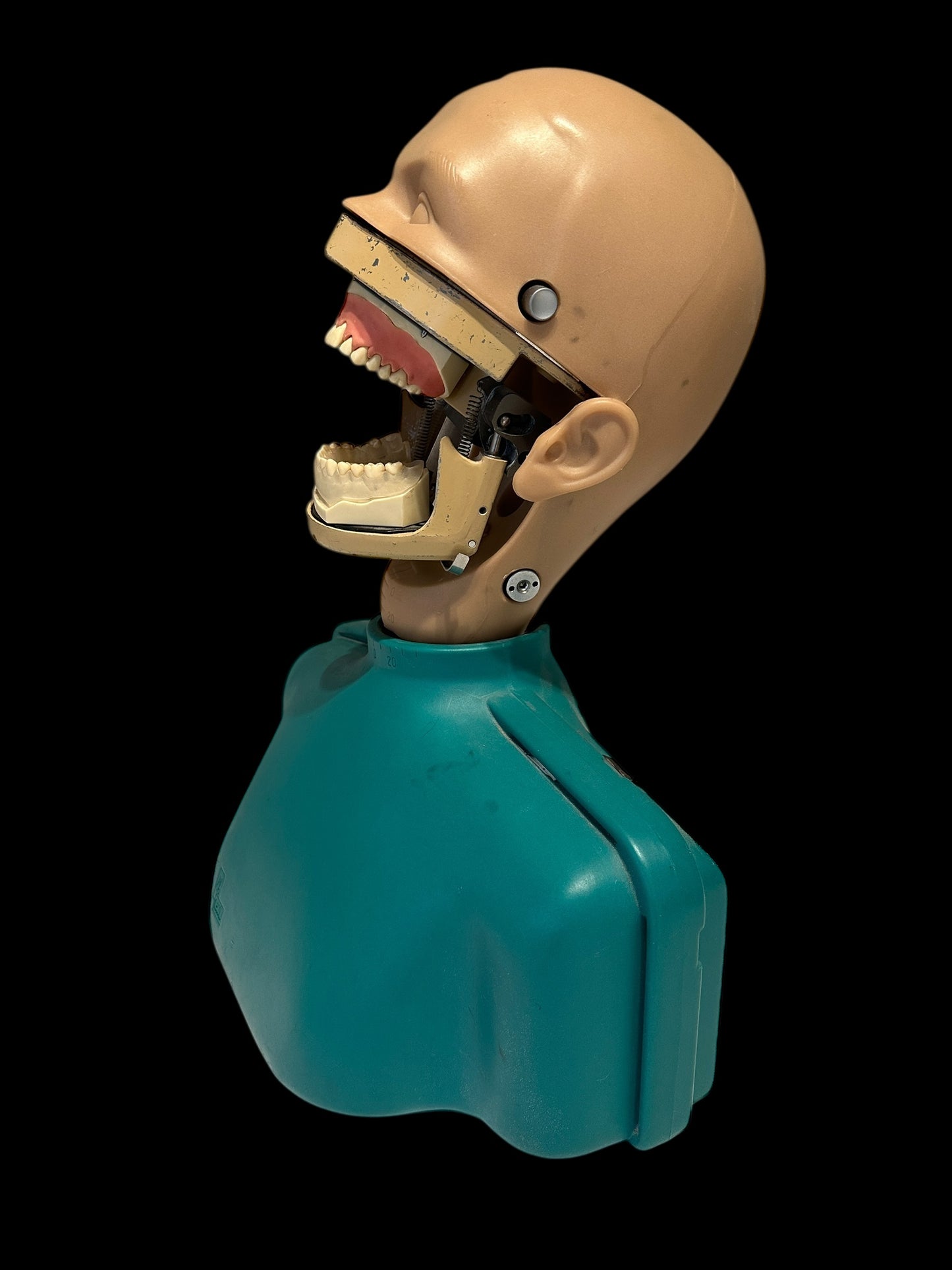 Dental Phantom Head Simulator Unit