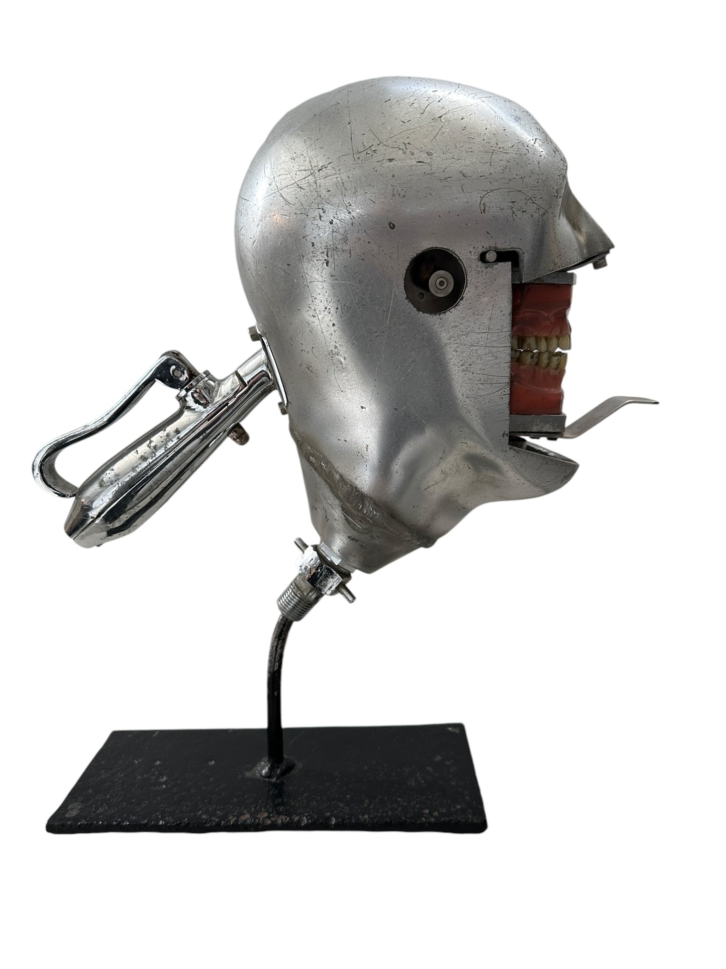 Rare Aluminum Dental Phantom Head