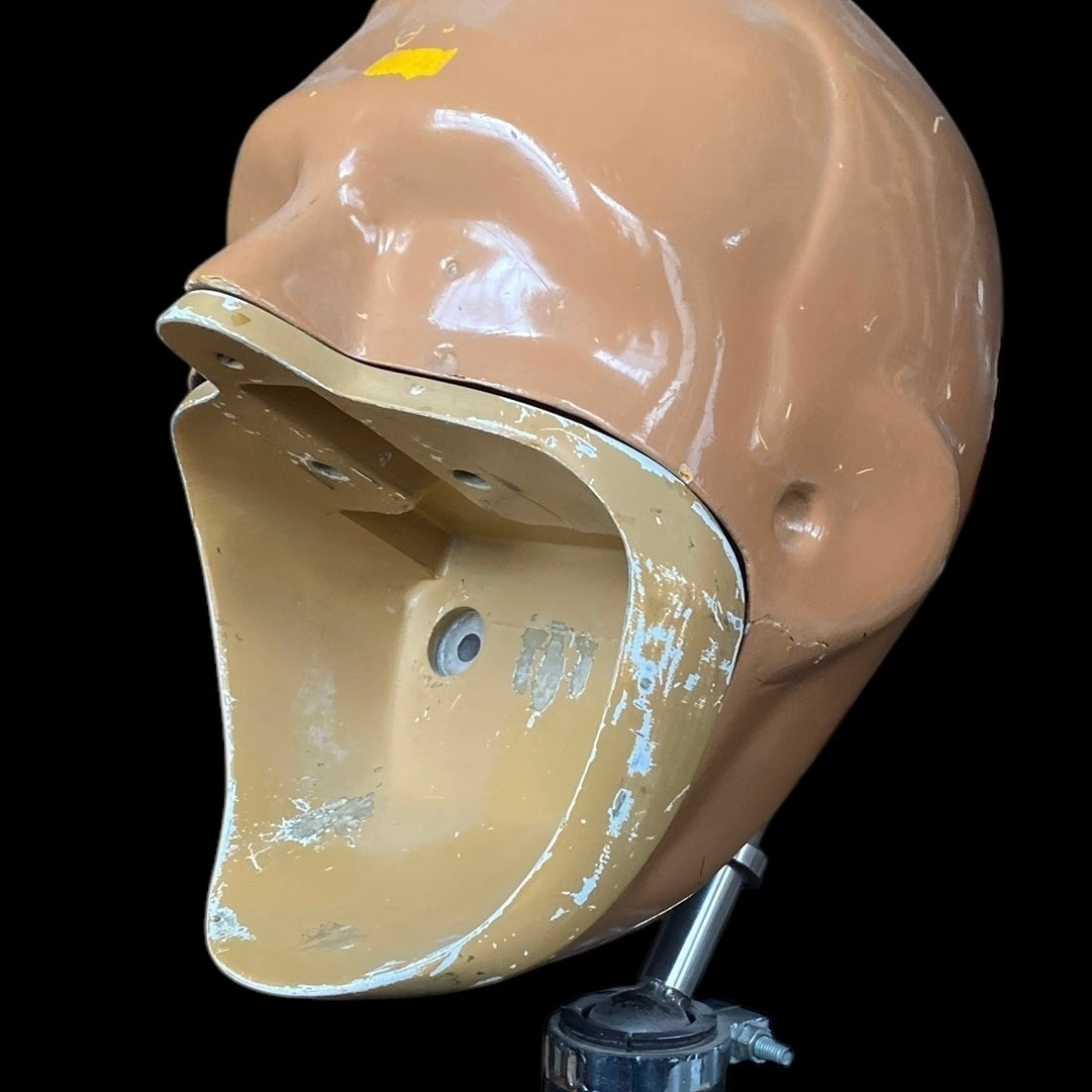 Dental Phantom Head #2