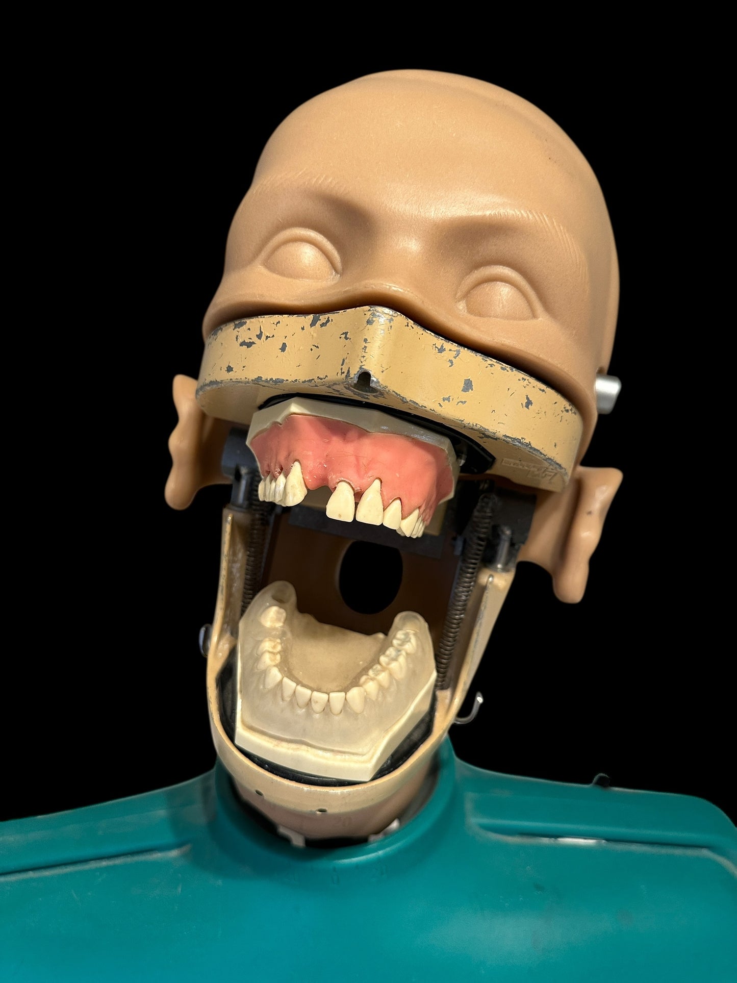 Dental Phantom Head Simulator Unit