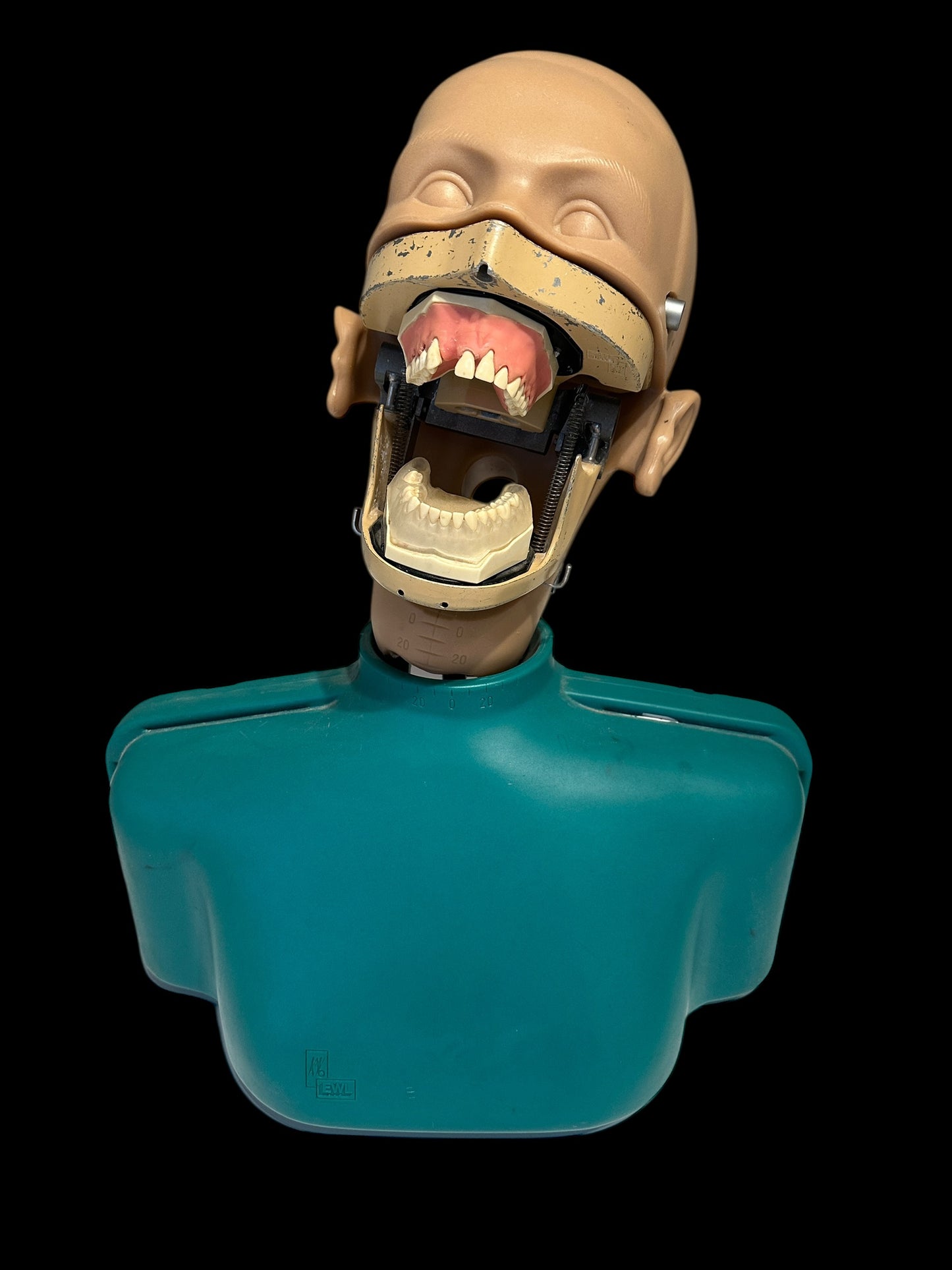 Dental Phantom Head Simulator Unit