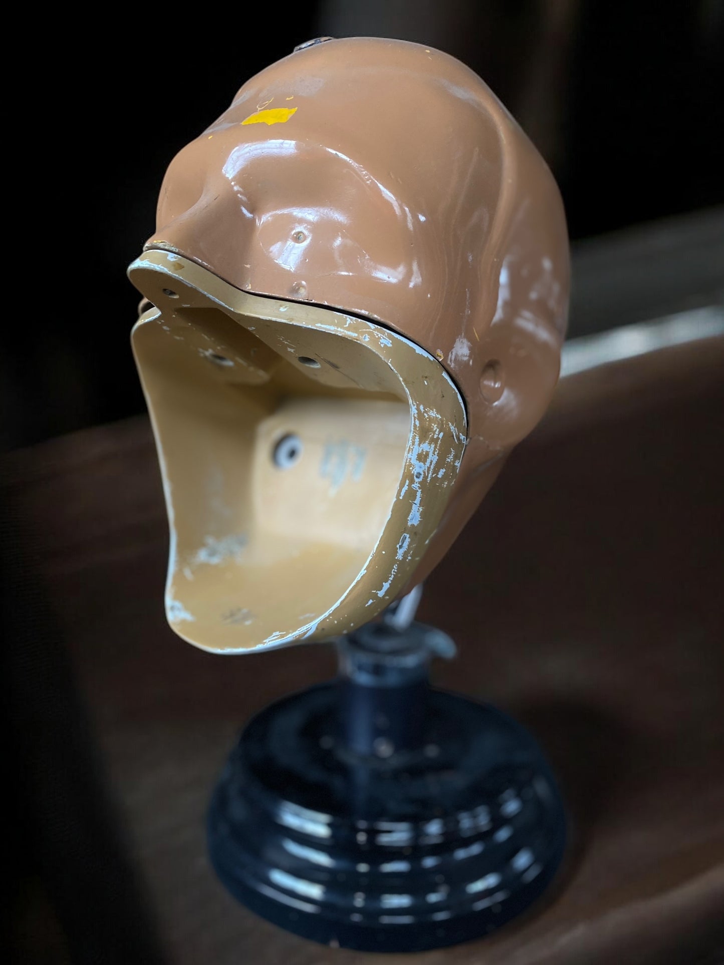 Dental Phantom Head #2
