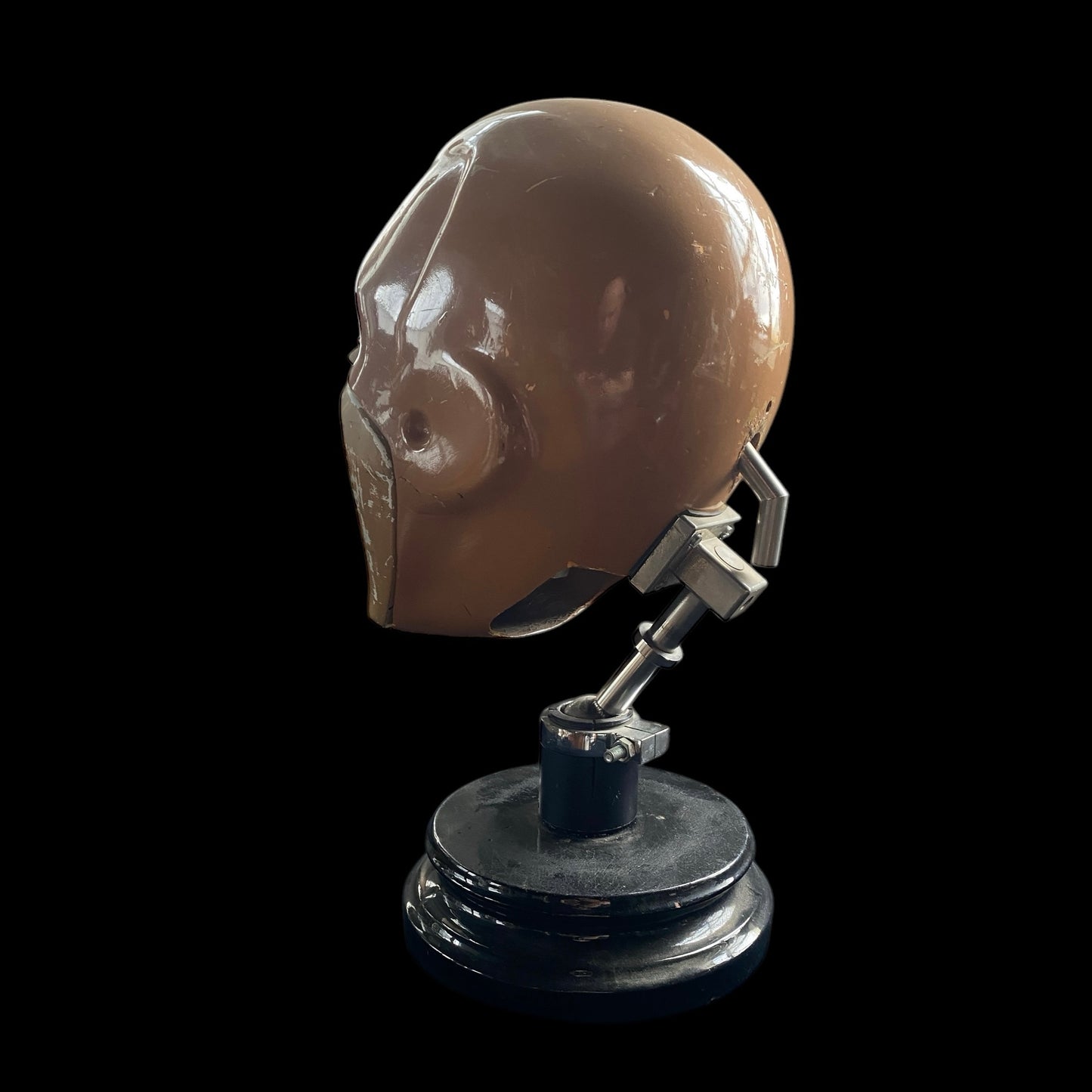 Dental Phantom Head #2