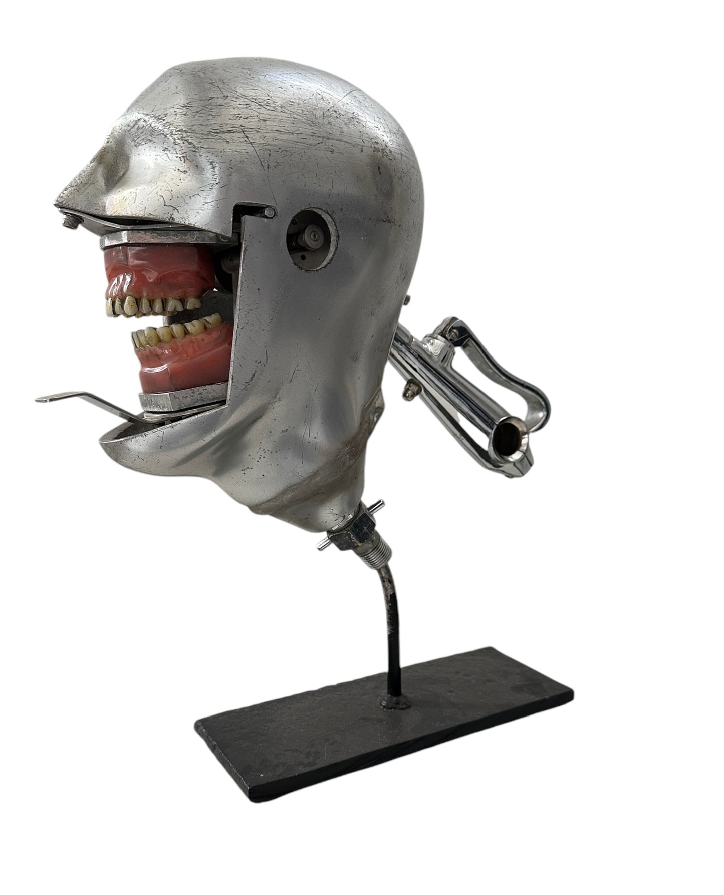Antique Dental Phantom Head with Typodont