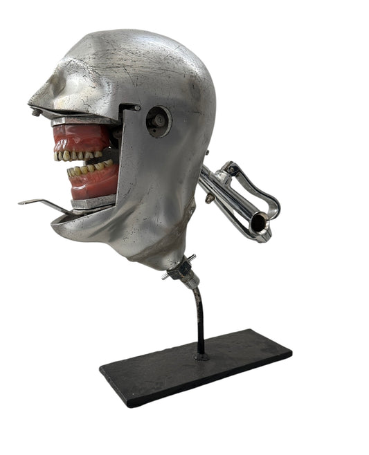 Antique Dental Phantom Head with Typodont