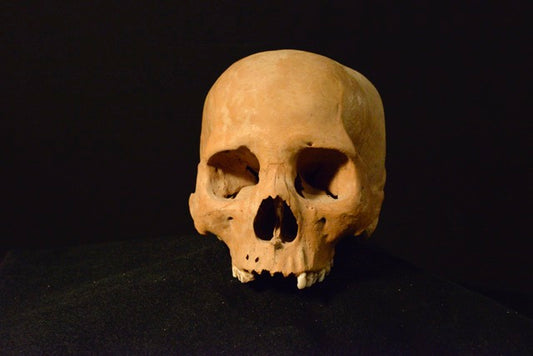 Uncut Skull H9