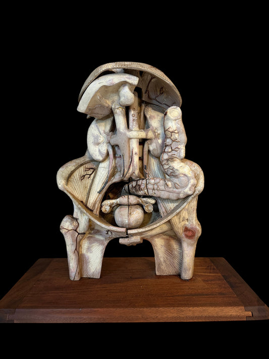 Torso Anatomical Model by Dr. Louis Thomas Jérôme Auzoux (1797-1880)