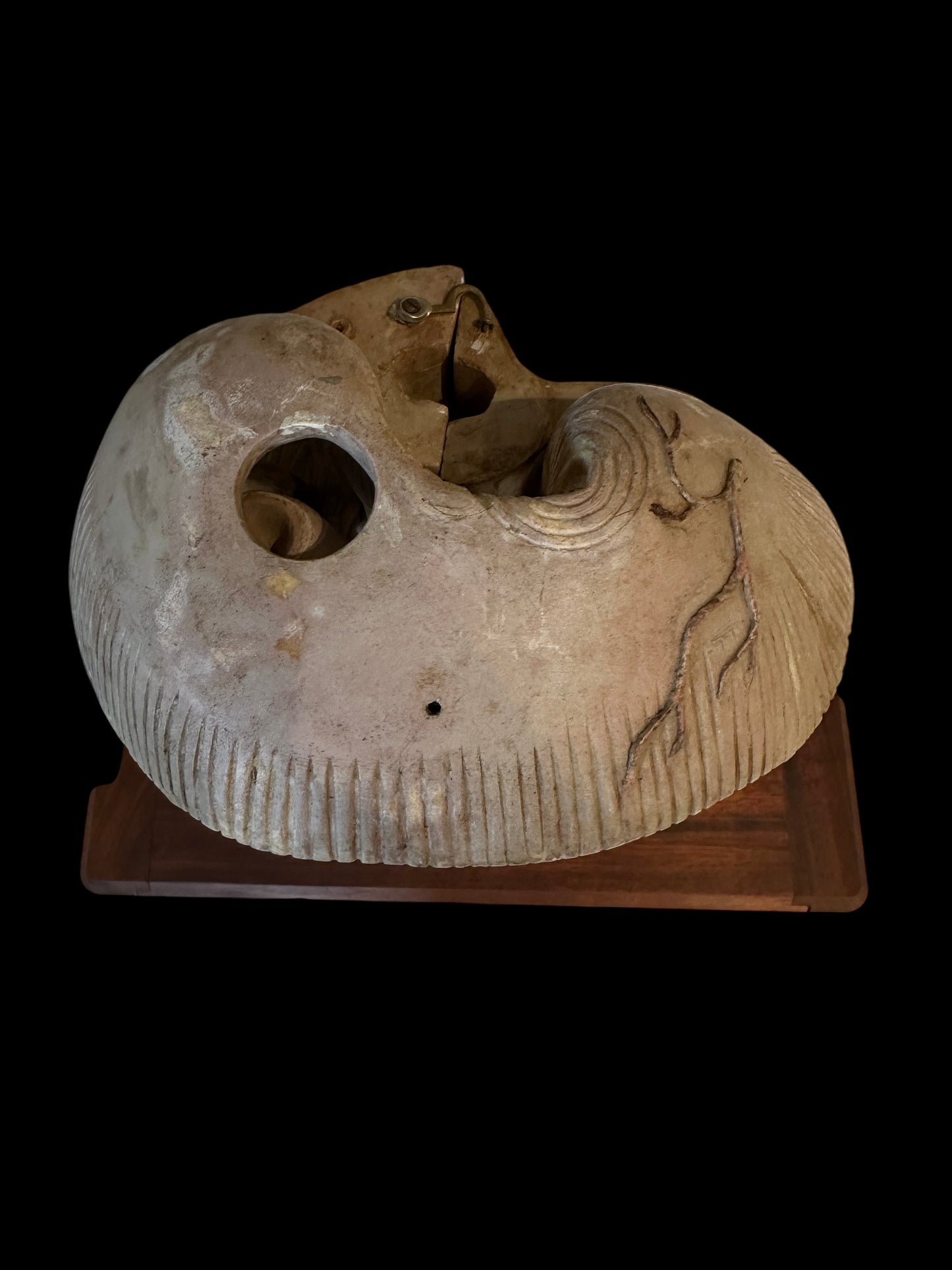 Torso Anatomical Model by Dr. Louis Thomas Jérôme Auzoux (1797-1880)