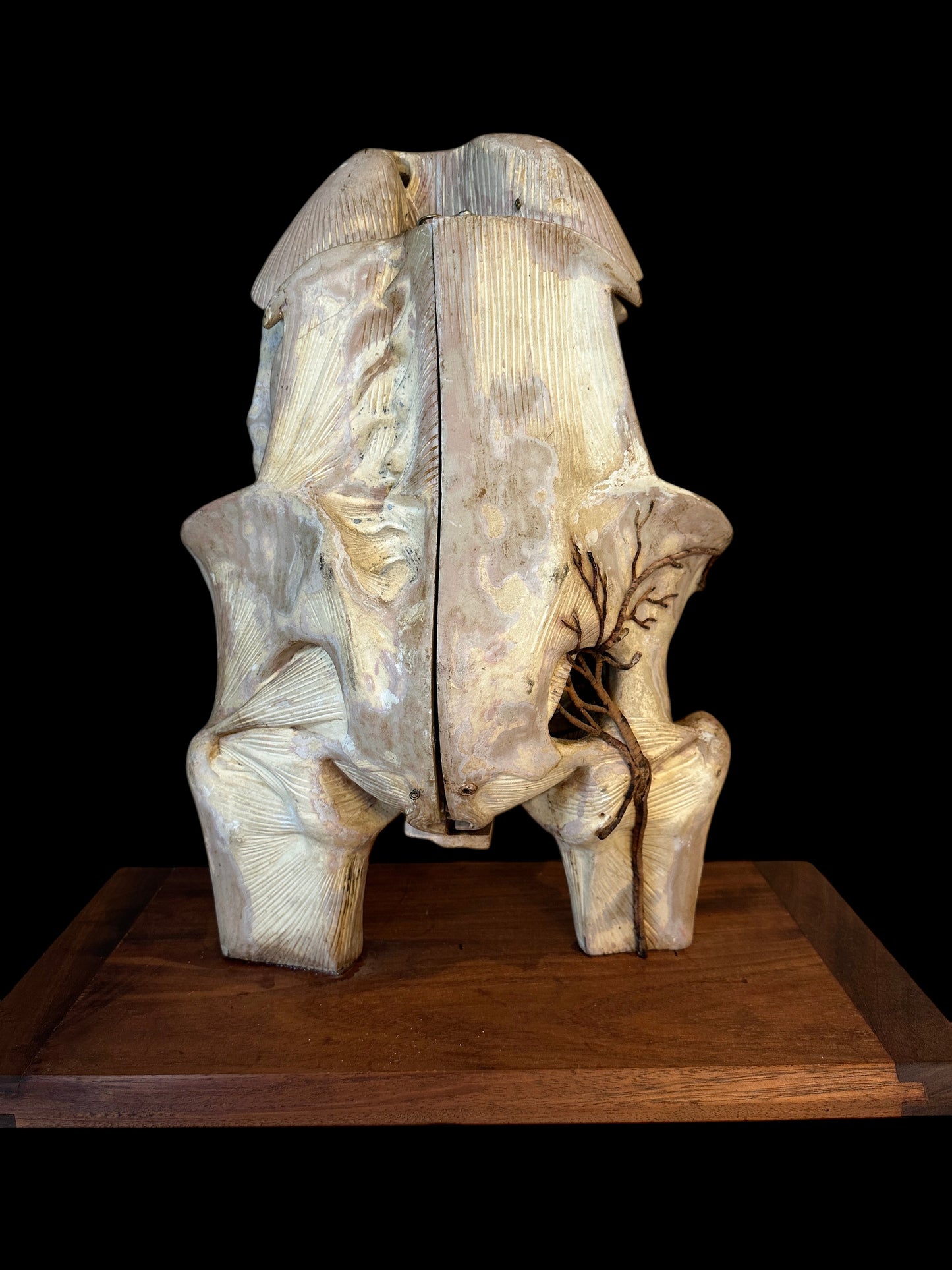Torso Anatomical Model by Dr. Louis Thomas Jérôme Auzoux (1797-1880)