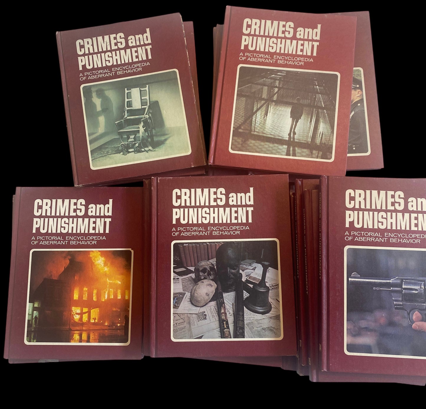 Crime and Punishment Encyclopedia Set