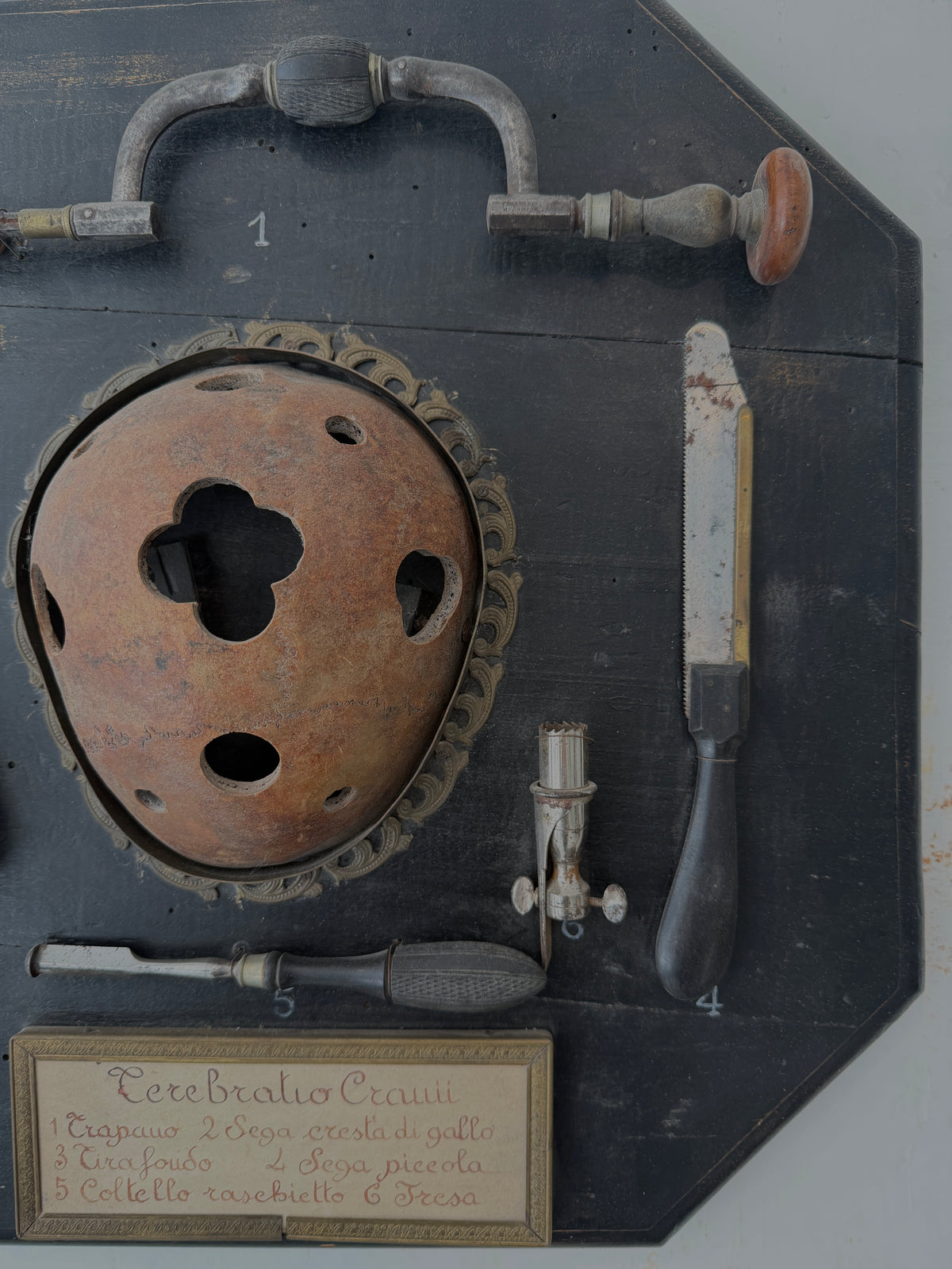 Italian "Terebratio Cranii" (Skull Trephining) Surgical Instrument Display Plaque