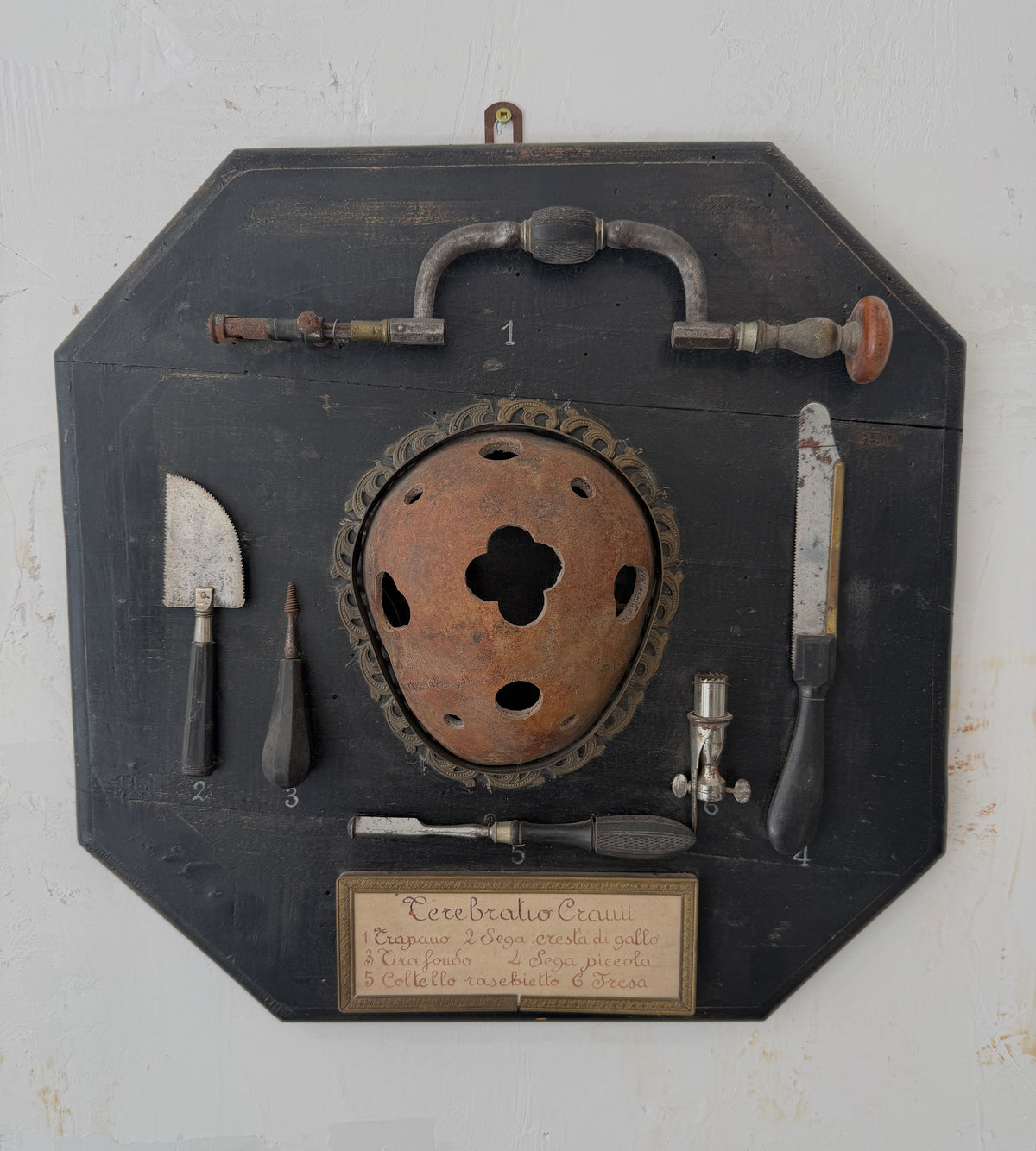 Italian "Terebratio Cranii" (Skull Trephining) Surgical Instrument Display Plaque