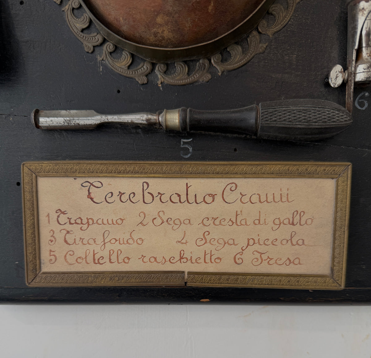 Italian "Terebratio Cranii" (Skull Trephining) Surgical Instrument Display Plaque
