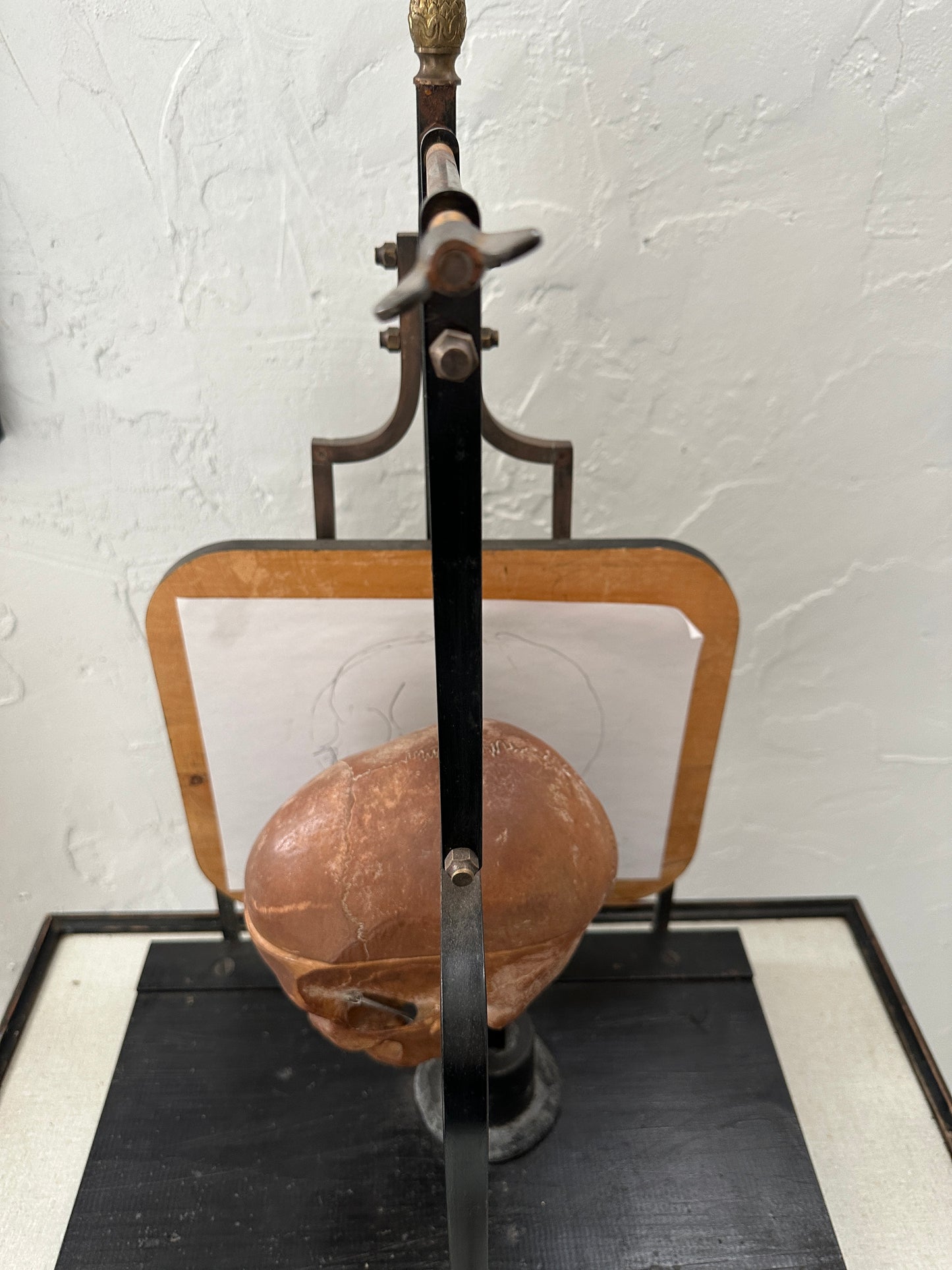 Craniometric: A 'Diptograph'  For Drawing Skulls