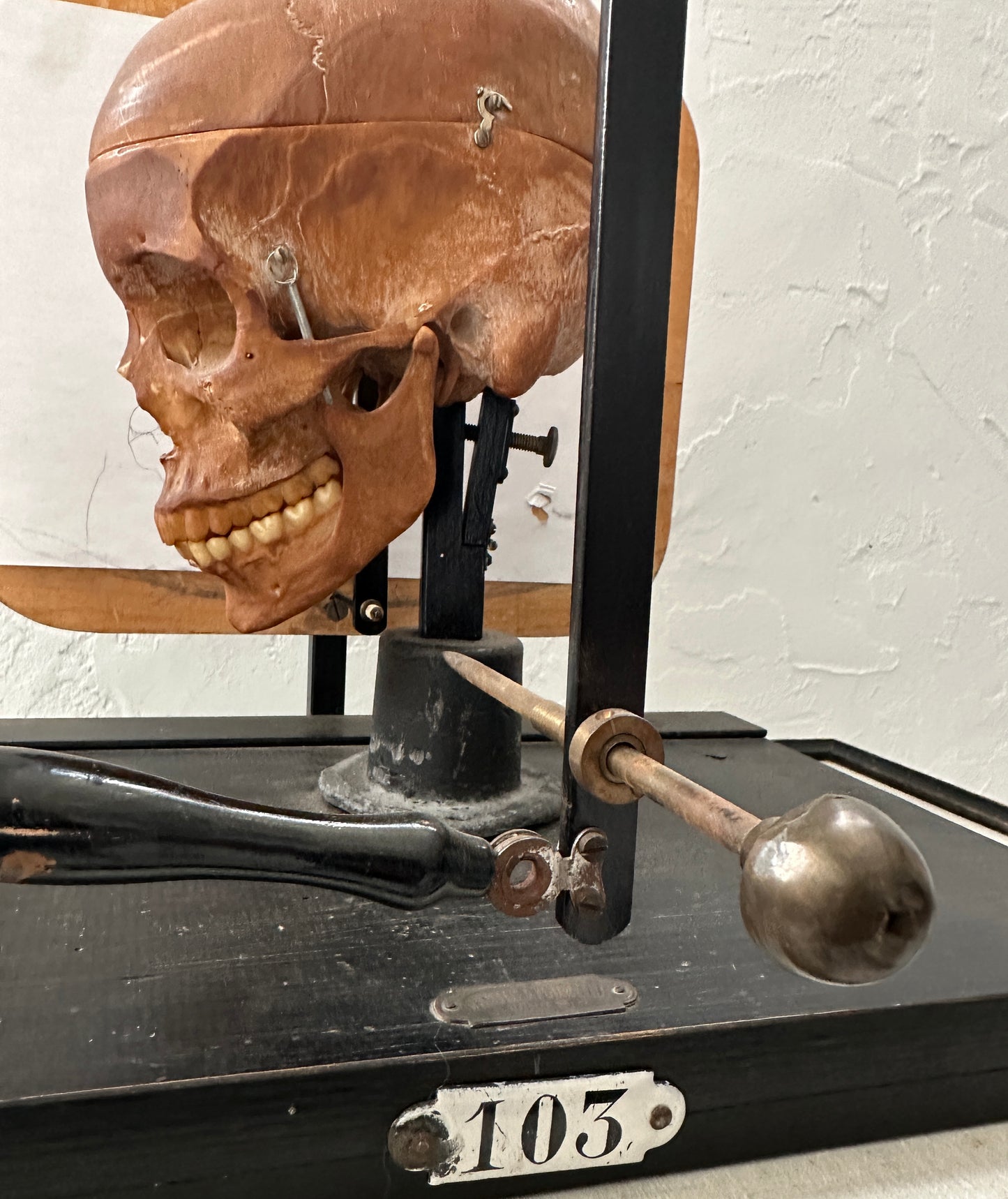 Craniometric: A 'Diptograph'  For Drawing Skulls