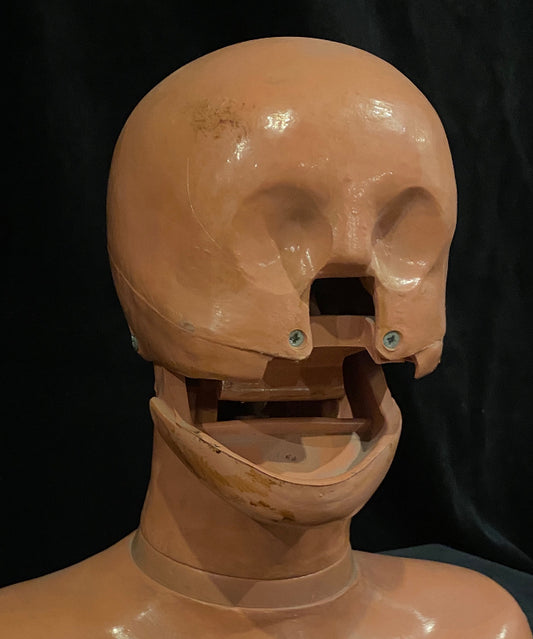 Resusci Anne Phantom Head Norway