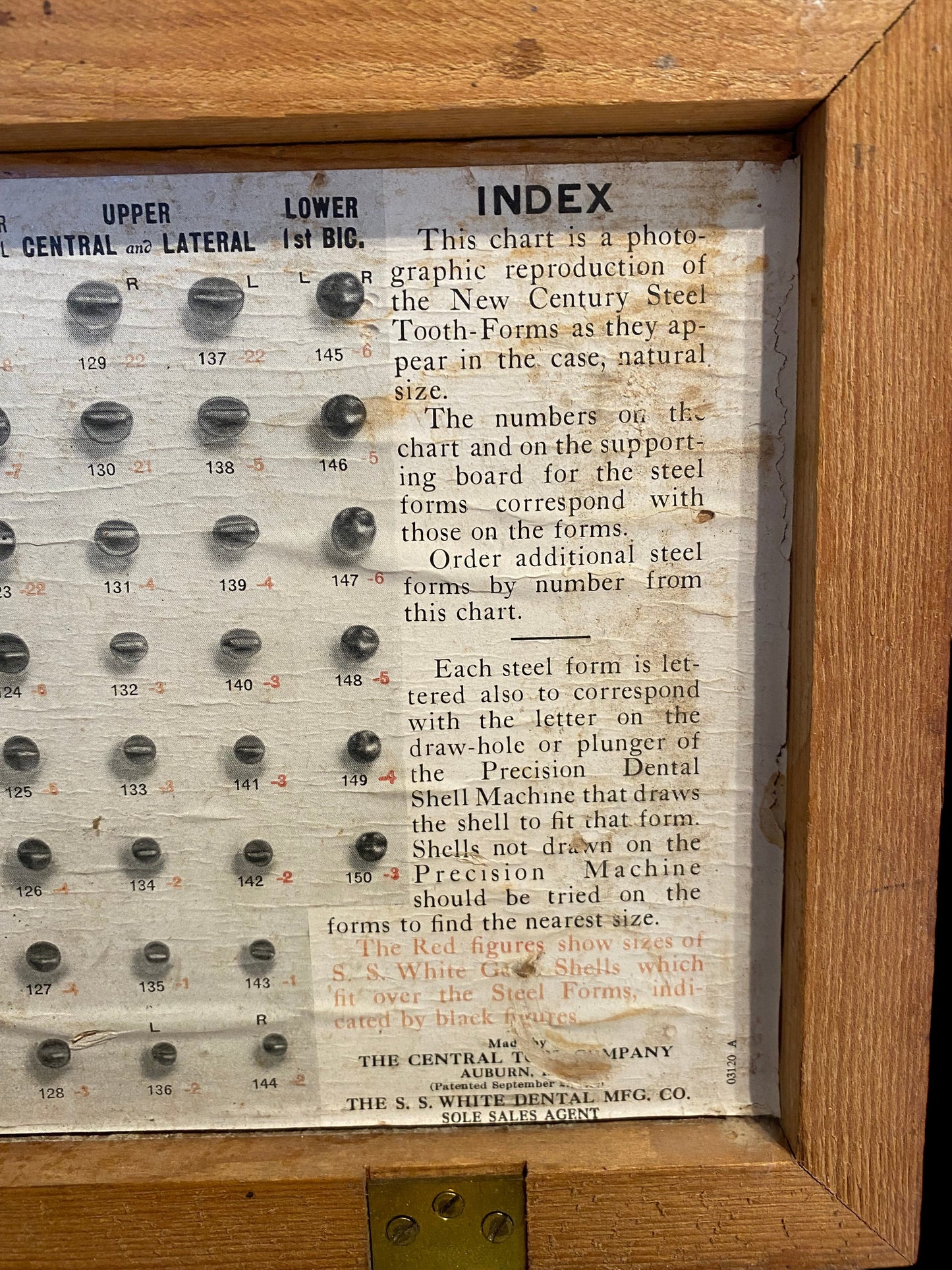 Antique Dental Tooth Forms Kit