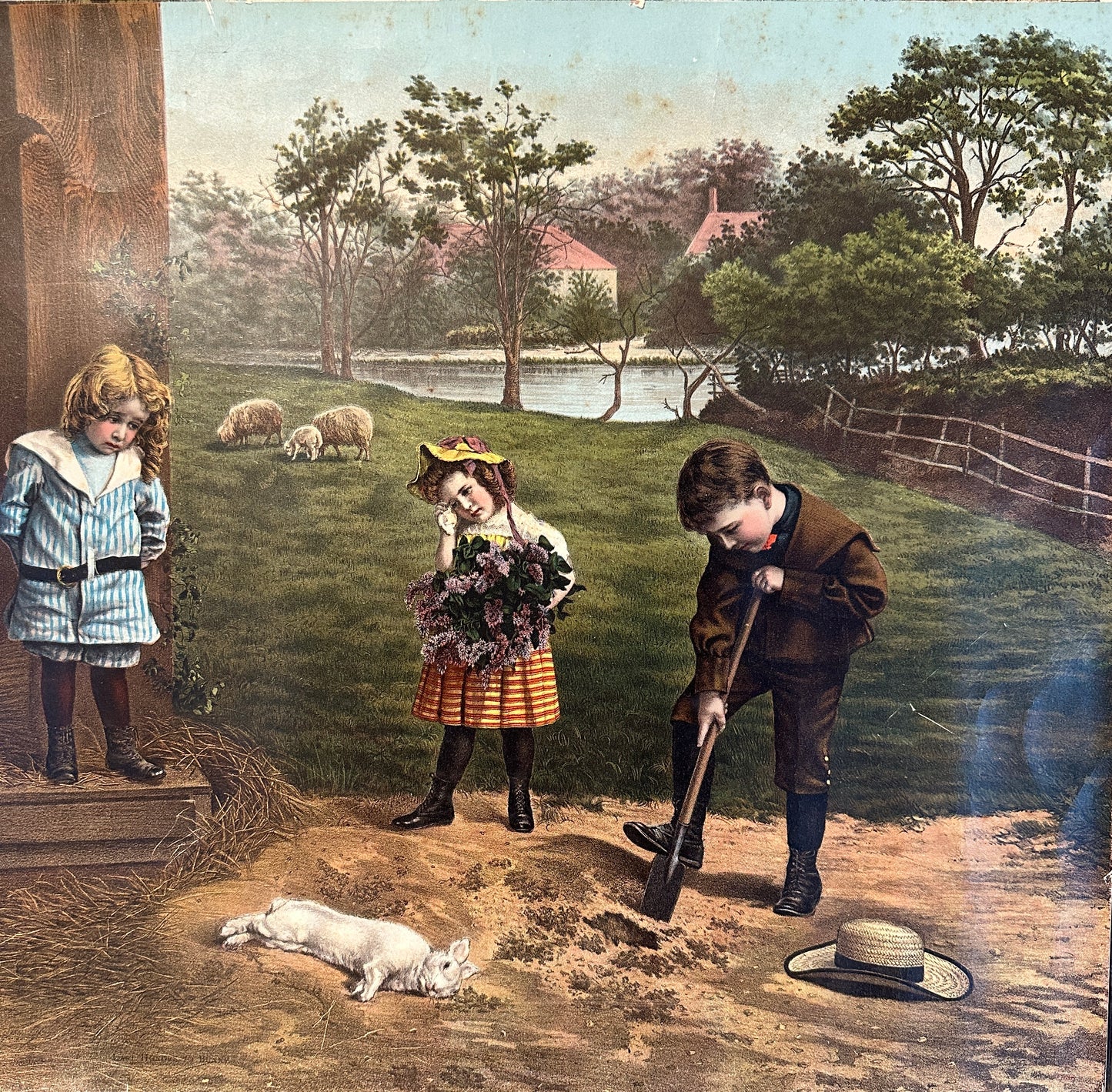 Antique Victorian Print 'Last Honors to Bunny' 1903