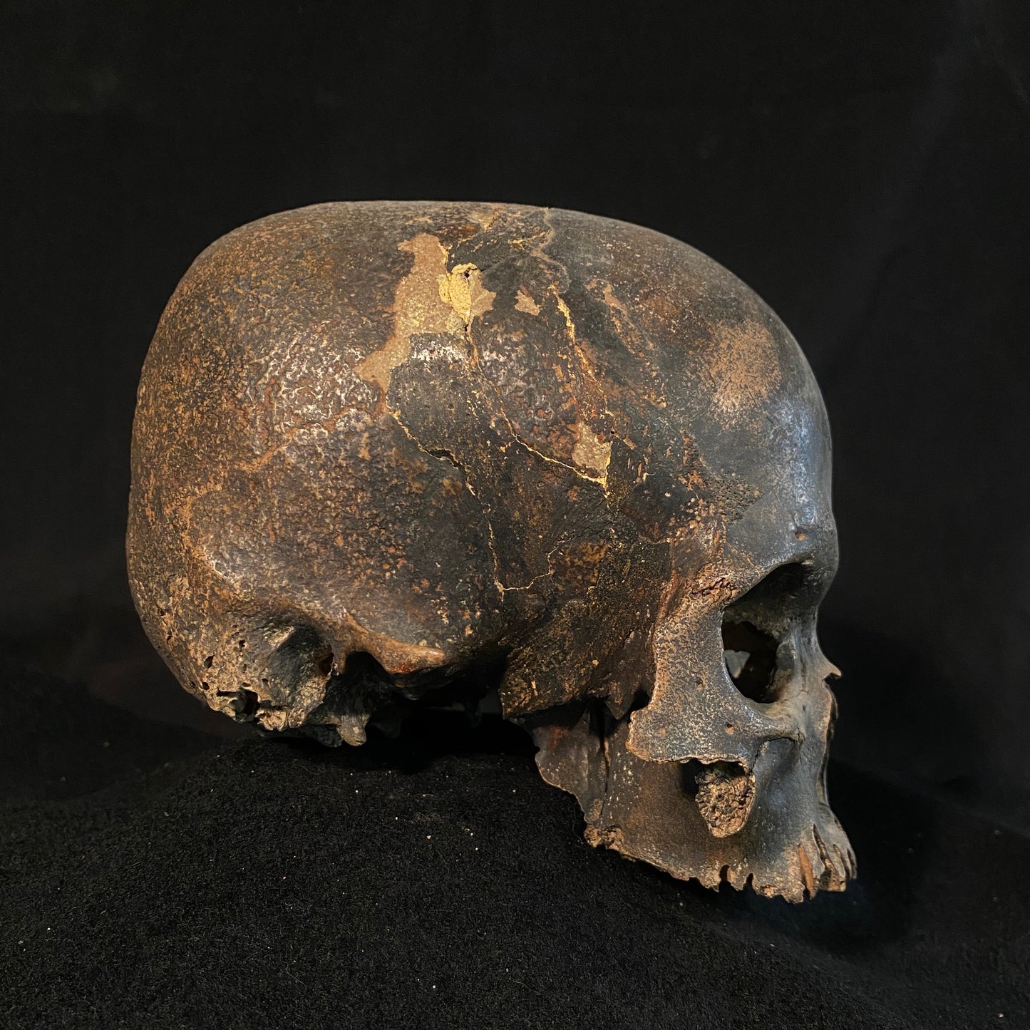 H_A12 Human Tribal Skull
