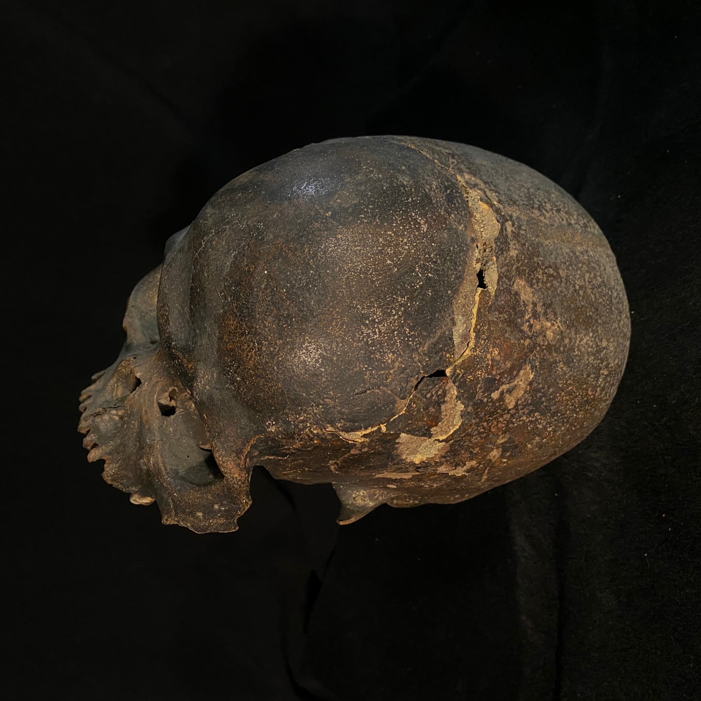 H_A12 Human Tribal Skull