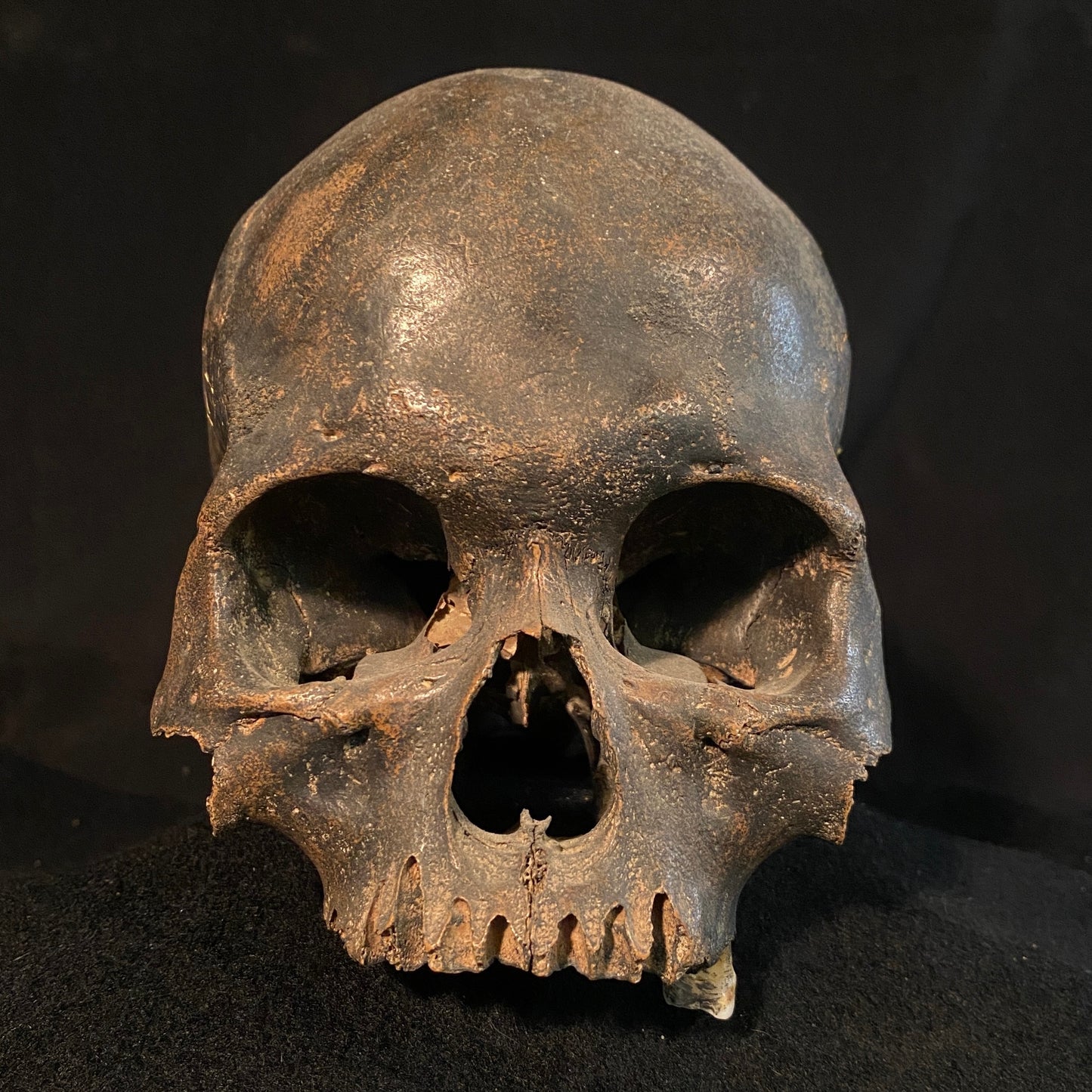 H_A12 Human Tribal Skull