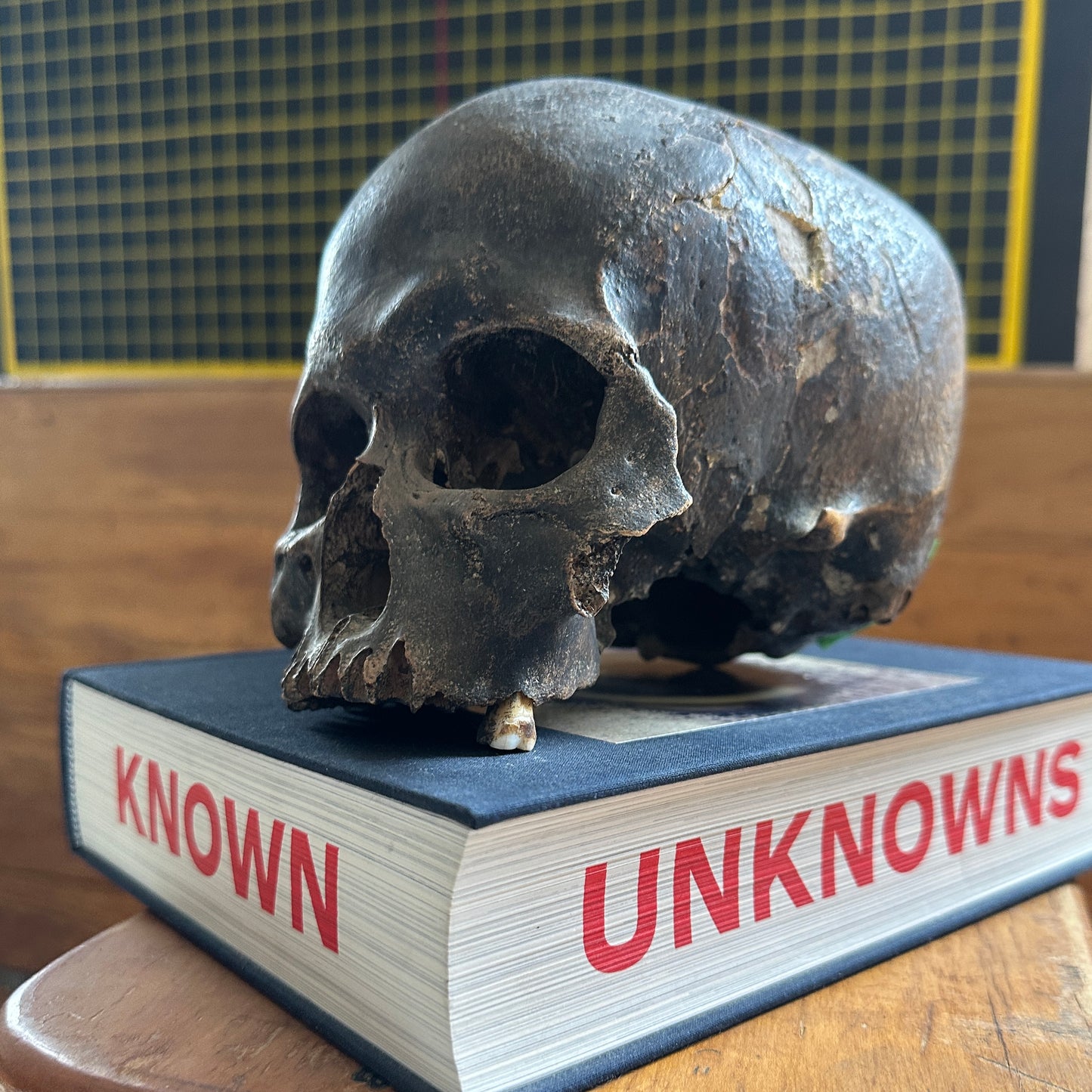 H_A12 Human Tribal Skull