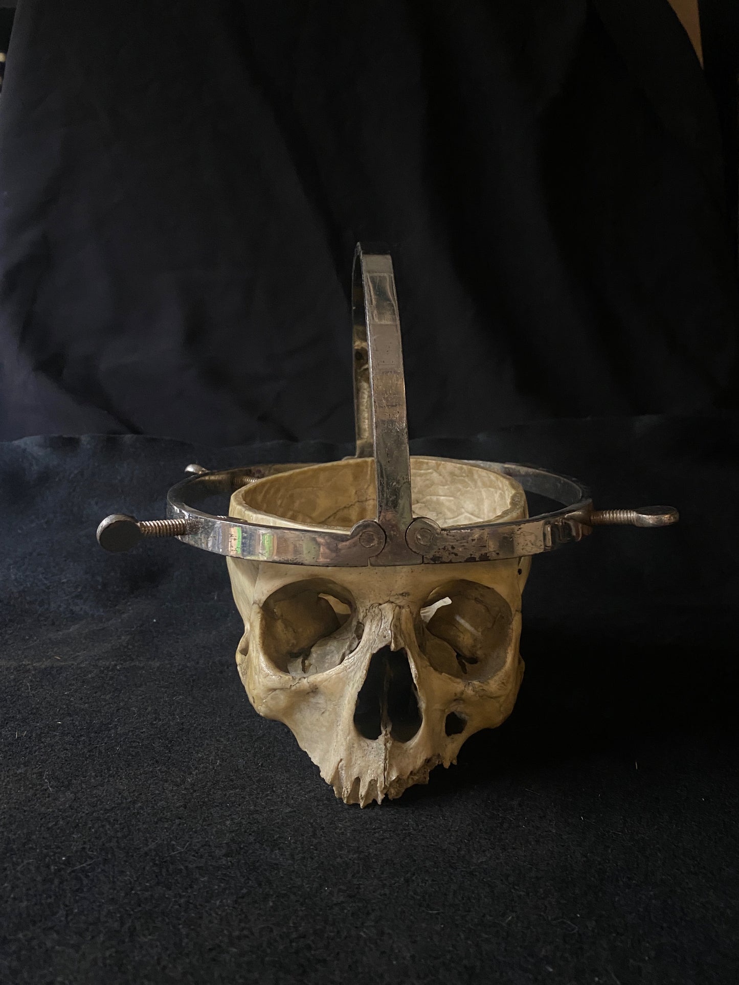 H Skull with Cranium Cutter
