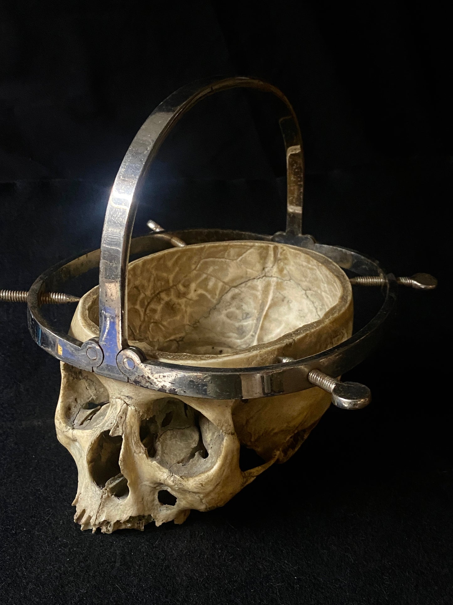 H Skull with Cranium Cutter