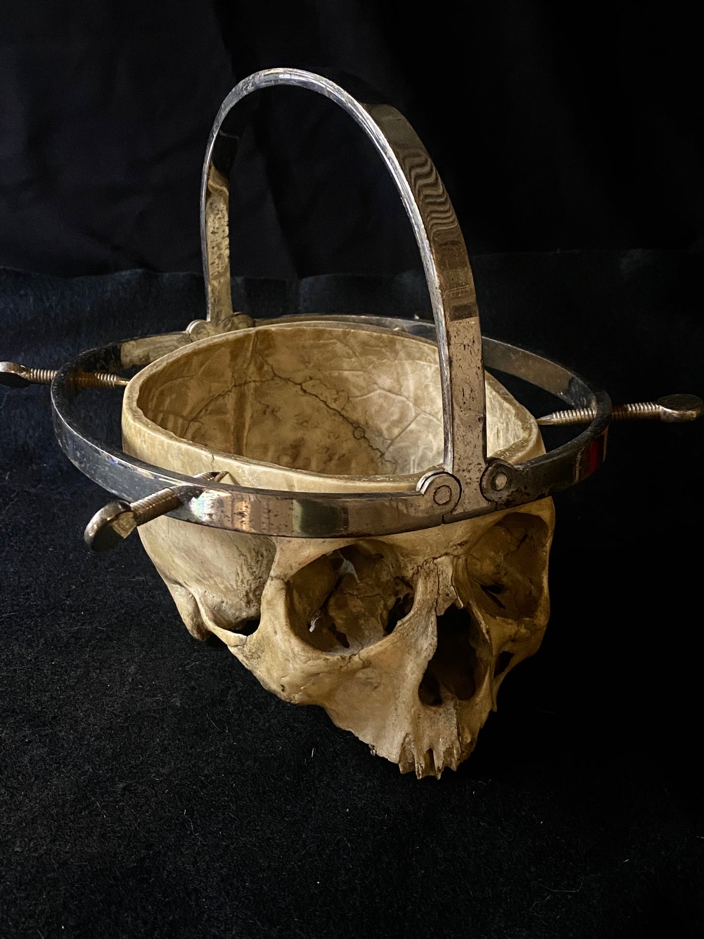 H Skull with Cranium Cutter