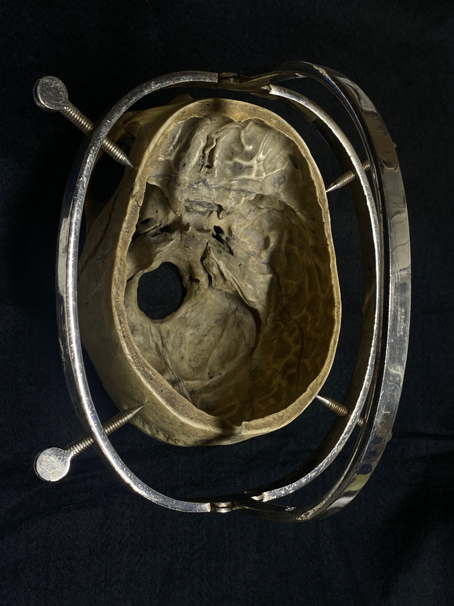 H Skull with Cranium Cutter