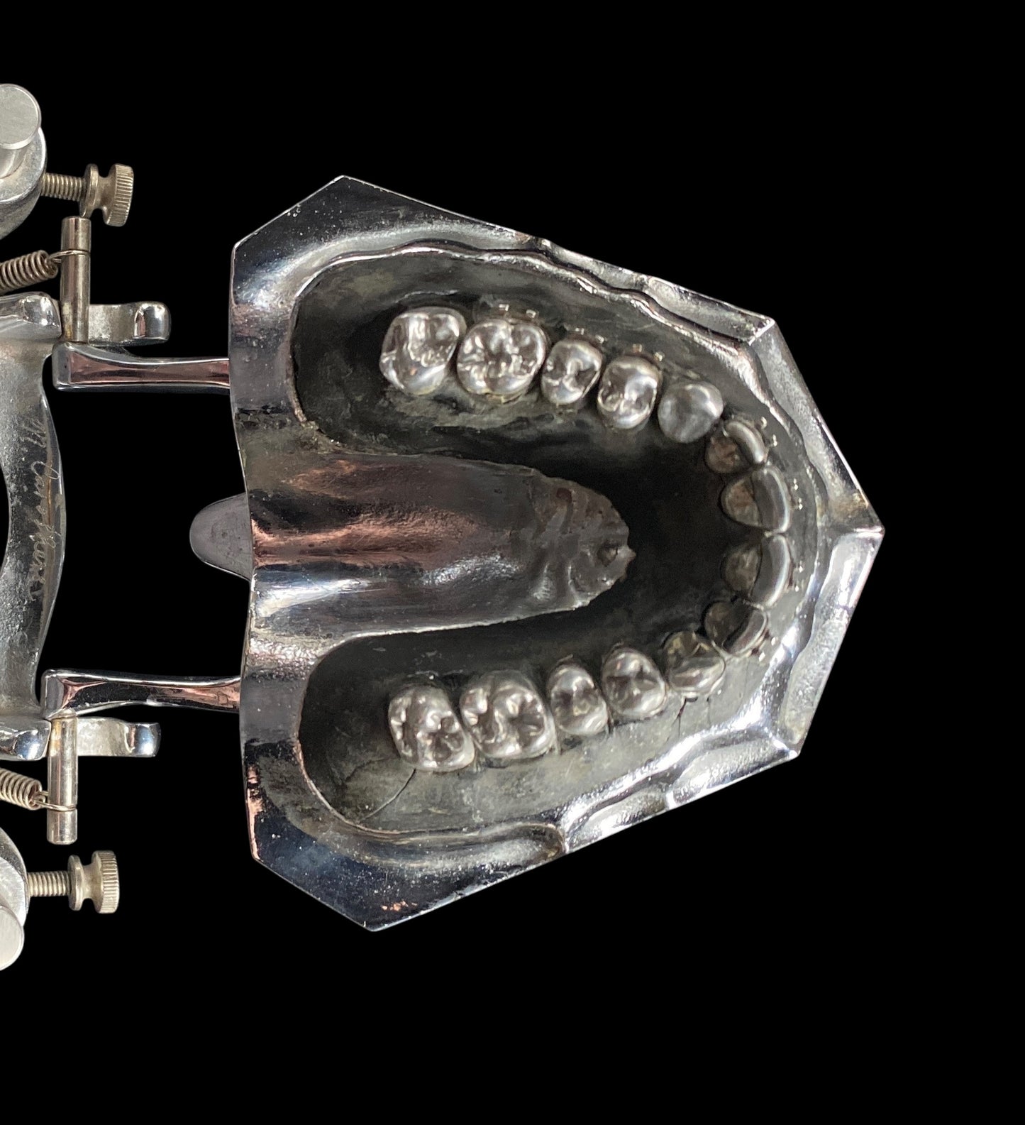 Vintage Metal Typodont